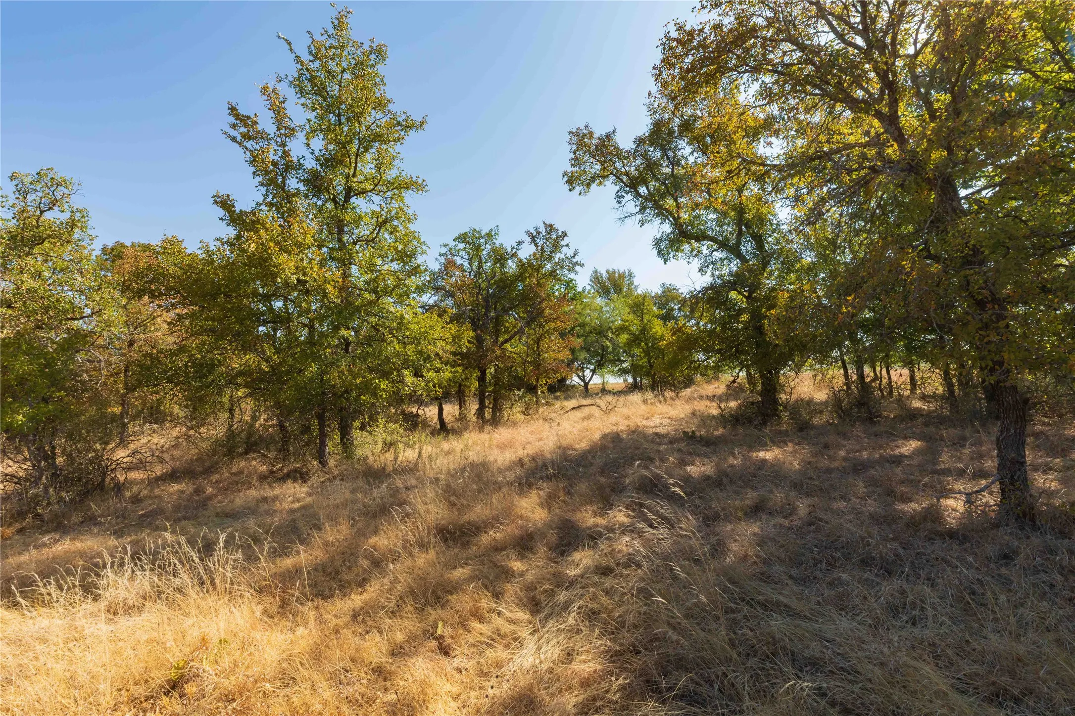 Ranch For Sale in Comanche County , 1282 CR 461, Gorman, Texas 76454, 0, 0, Garage spaces, 0 Sqft, built in 0, mls#21378044, Real Estate Agent in Gorman, Homes For Sale in Comanche county, Homes For Sale in Gorman, Realtor in Gorman Texas, Real Estate Brokerage Independent Realty Texas, Luminita Cordes Realtor