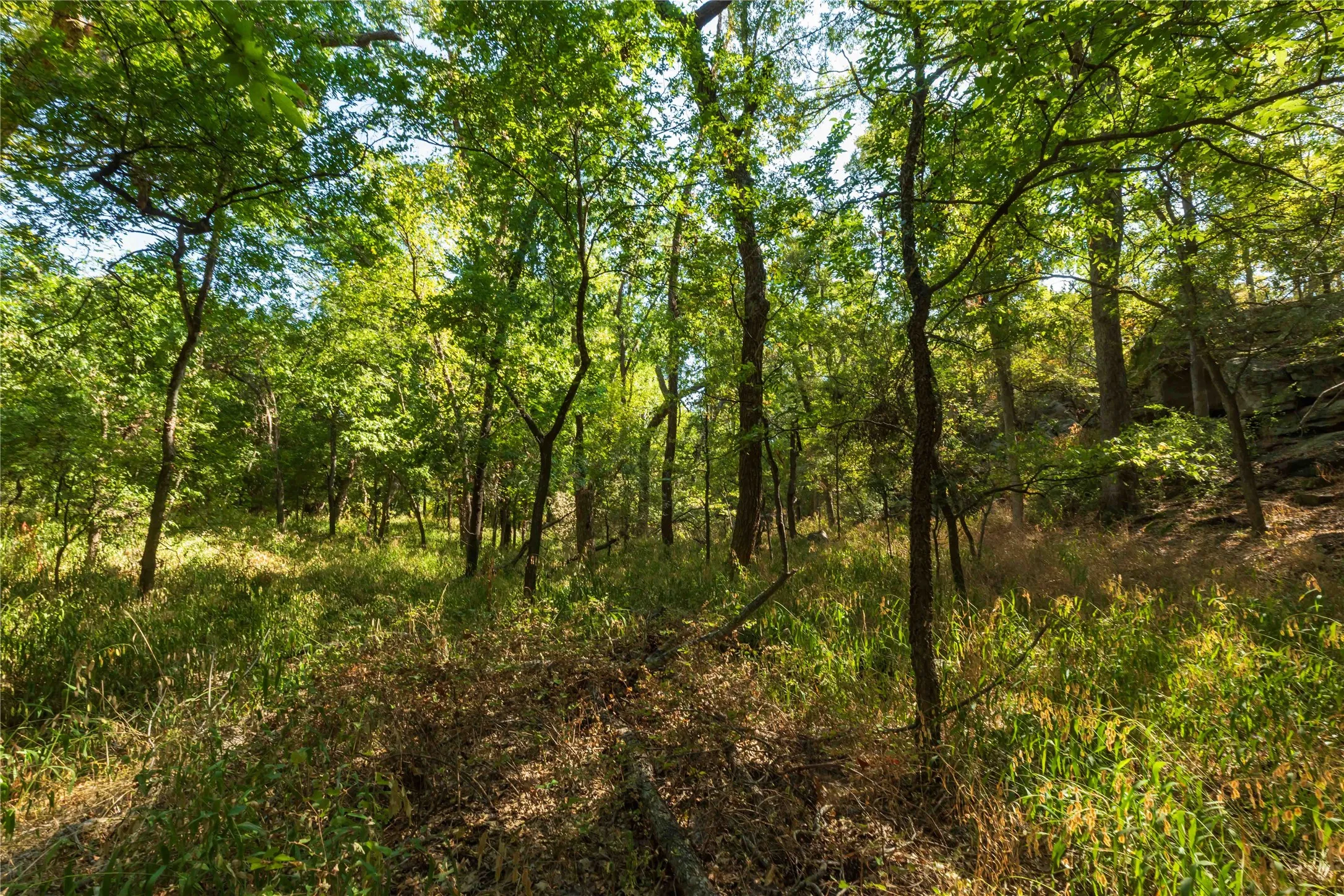 Ranch For Sale in Comanche County , 1282 CR 461, Gorman, Texas 76454, 0, 0, Garage spaces, 0 Sqft, built in 0, mls#21378044, Real Estate Agent in Gorman, Homes For Sale in Comanche county, Homes For Sale in Gorman, Realtor in Gorman Texas, Real Estate Brokerage Independent Realty Texas, Luminita Cordes Realtor