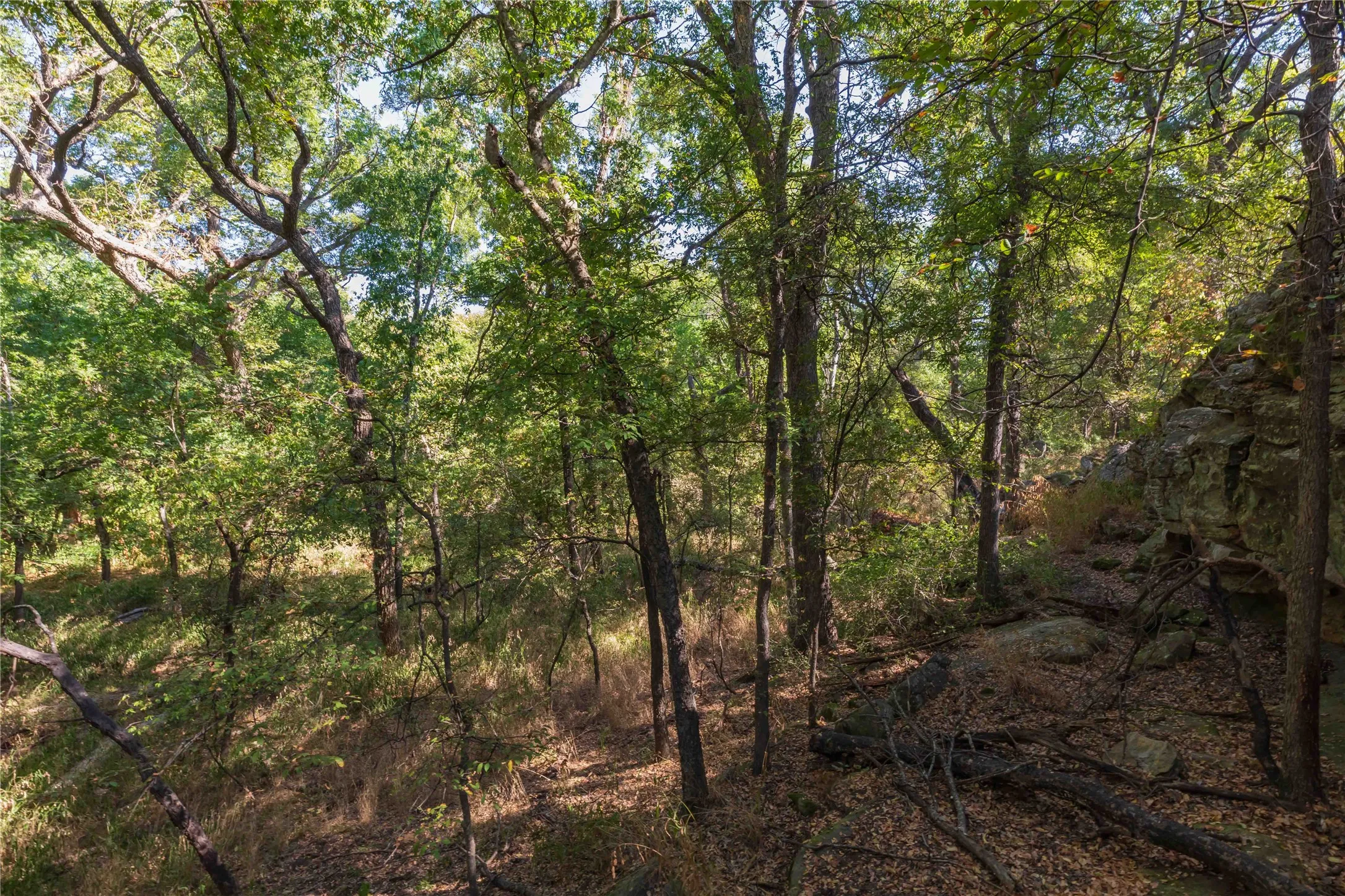 Ranch For Sale in Comanche County , 1282 CR 461, Gorman, Texas 76454, 0, 0, Garage spaces, 0 Sqft, built in 0, mls#21378044, Real Estate Agent in Gorman, Homes For Sale in Comanche county, Homes For Sale in Gorman, Realtor in Gorman Texas, Real Estate Brokerage Independent Realty Texas, Luminita Cordes Realtor