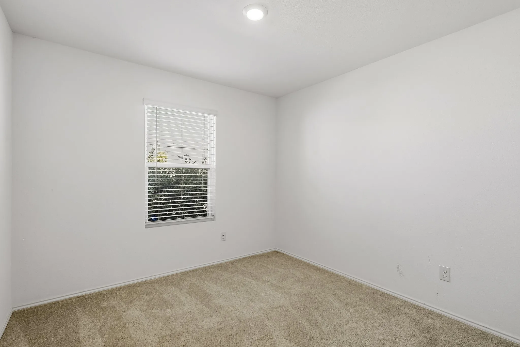 Recessed ceiling light, neutral wall color, window with blinds, and carpeted flooring