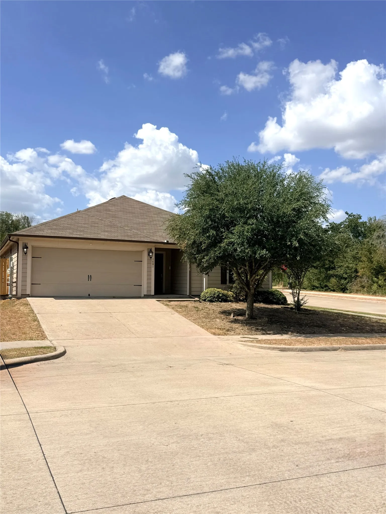 Single-story residence featuring a two-car garage, mature front yard tree, and concrete driveway
