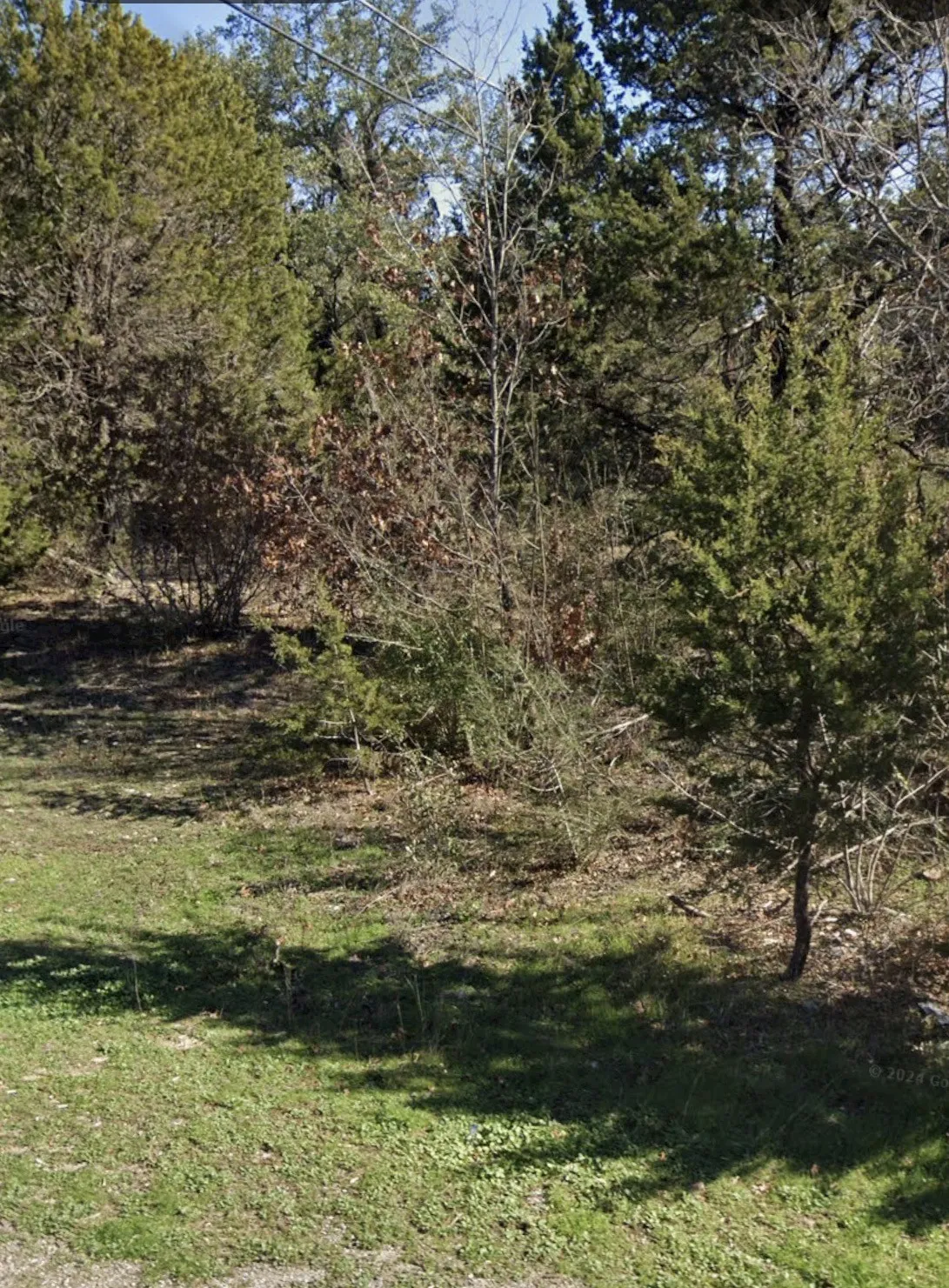 Unimproved Land For Sale in Hood County , 2725 Birch Street, Granbury, Texas 76048, 0, 0, Garage spaces, 0 Sqft, built in 0, mls#21378121, Real Estate Agent in Granbury, Homes For Sale in Hood county, Homes For Sale in Granbury, Realtor in Granbury Texas, Real Estate Brokerage Independent Realty Texas, Luminita Cordes Realtor