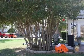 Nice corner ground level with trees.