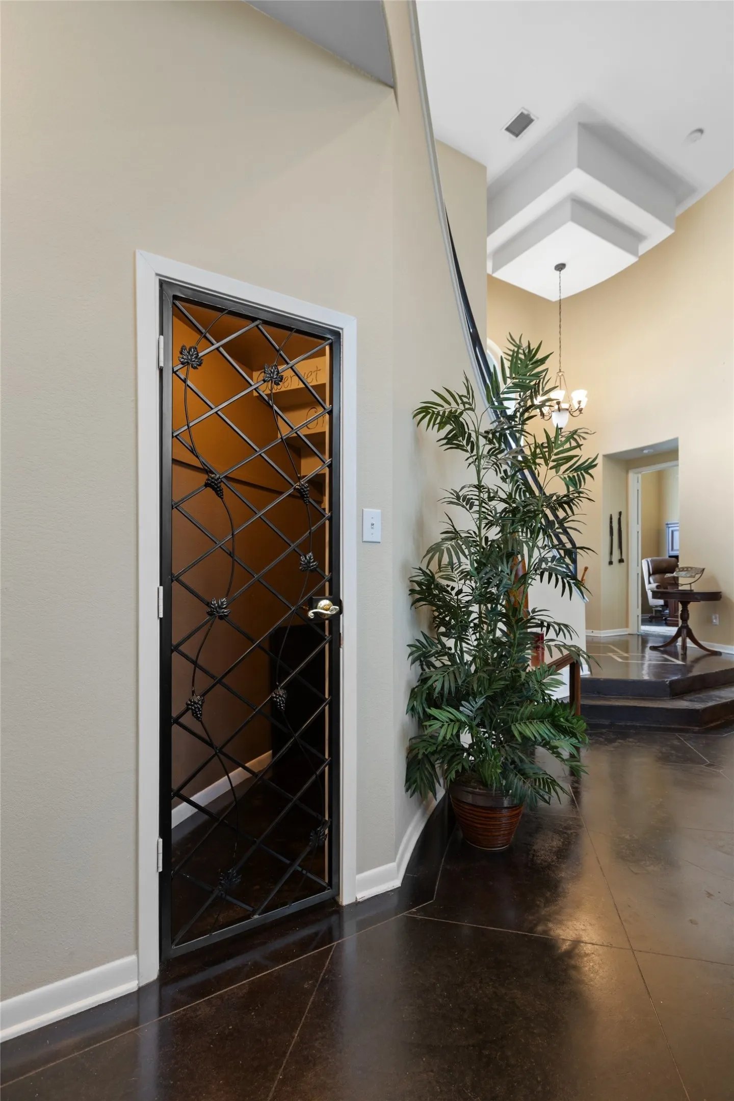 Under Stairs used as storage or Wine Storage