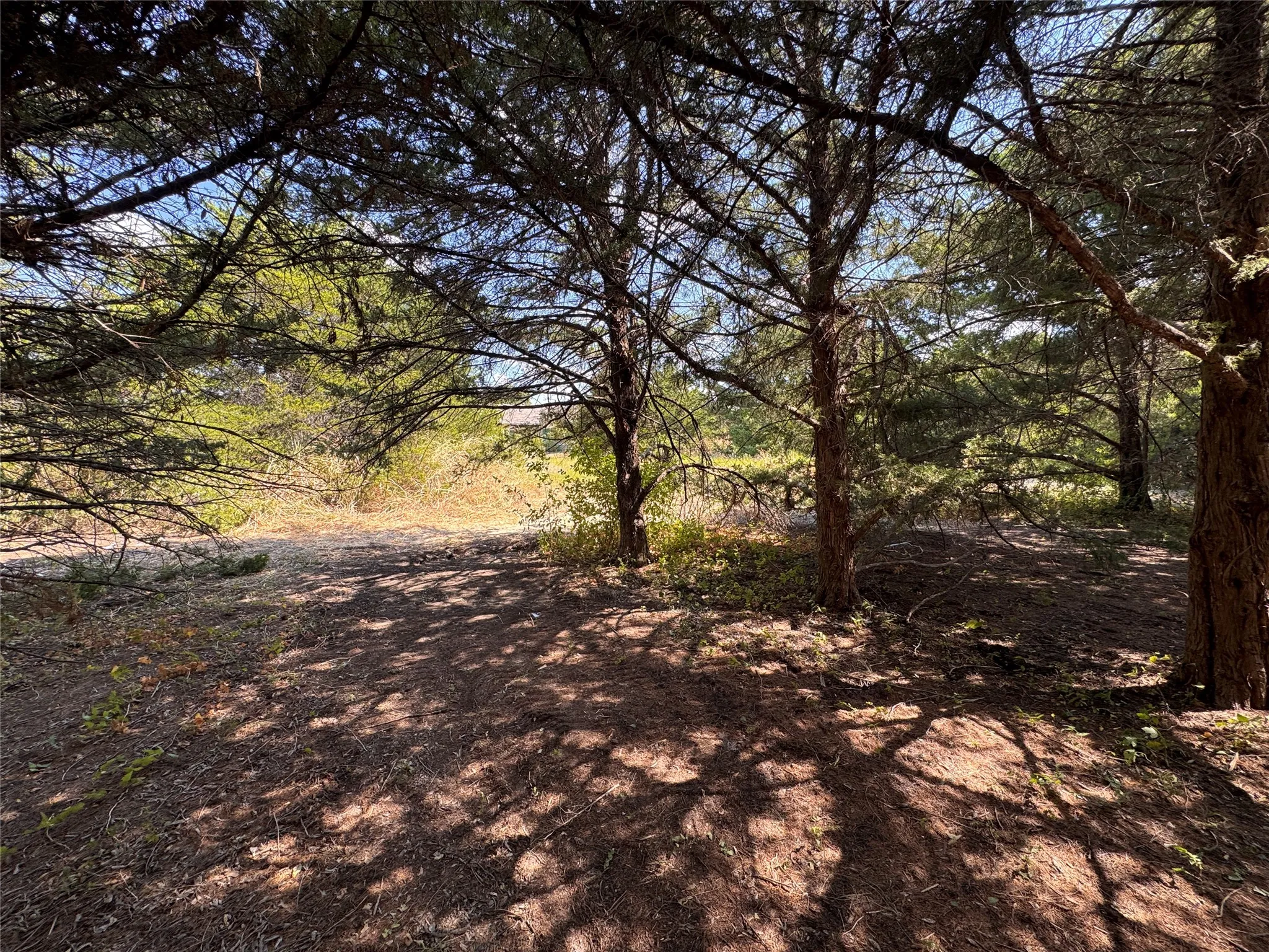 Unimproved Land For Sale in Grayson County , 6395 SH 160 Highway, Whitewright, Texas 75491, 0, 0, Garage spaces, 0 Sqft, built in 1980, mls#21376826, Real Estate Agent in Whitewright, Homes For Sale in Grayson county, Homes For Sale in Whitewright, Realtor in Whitewright Texas, Real Estate Brokerage Independent Realty Texas, Luminita Cordes Realtor
