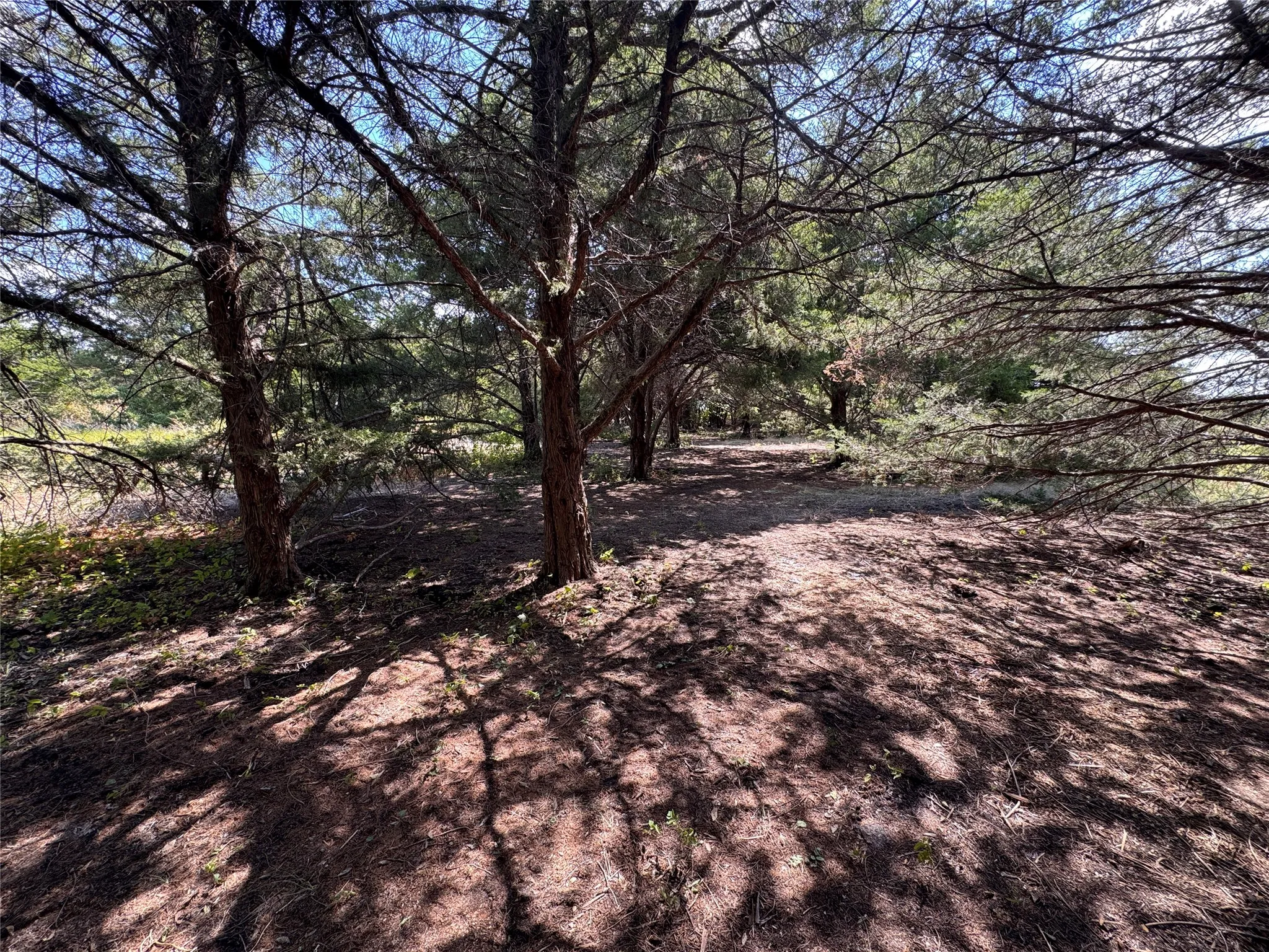 Unimproved Land For Sale in Grayson County , 6395 SH 160 Highway, Whitewright, Texas 75491, 0, 0, Garage spaces, 0 Sqft, built in 1980, mls#21376826, Real Estate Agent in Whitewright, Homes For Sale in Grayson county, Homes For Sale in Whitewright, Realtor in Whitewright Texas, Real Estate Brokerage Independent Realty Texas, Luminita Cordes Realtor