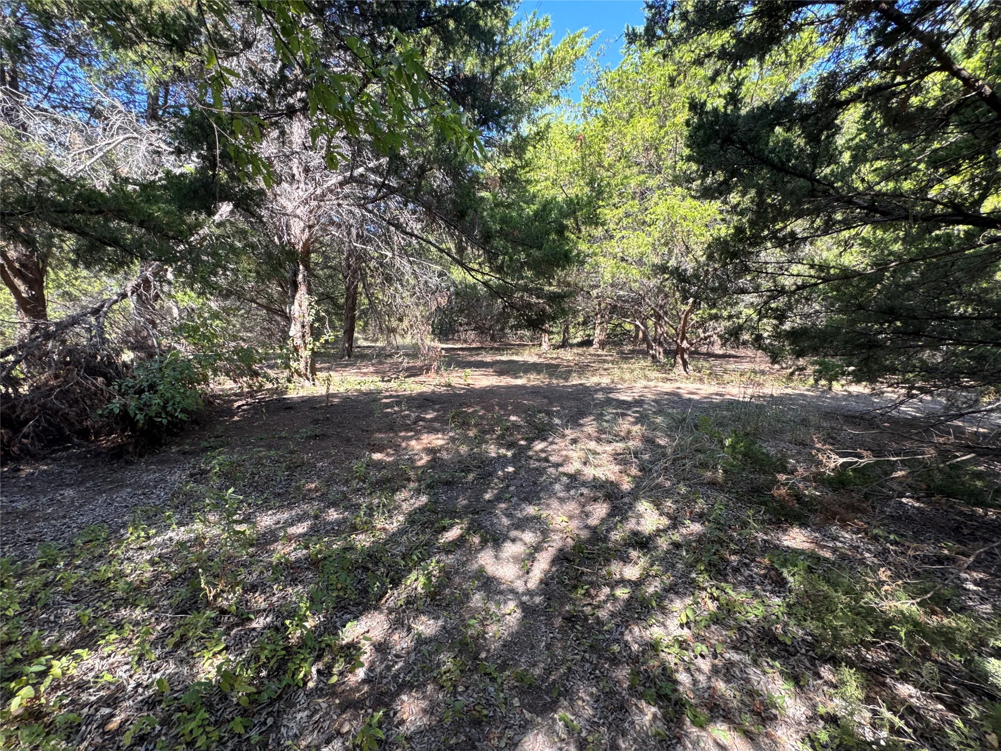 Unimproved Land For Sale in Grayson County , 6395 SH 160 Highway, Whitewright, Texas 75491, 0, 0, Garage spaces, 0 Sqft, built in 1980, mls#21376826, Real Estate Agent in Whitewright, Homes For Sale in Grayson county, Homes For Sale in Whitewright, Realtor in Whitewright Texas, Real Estate Brokerage Independent Realty Texas, Luminita Cordes Realtor