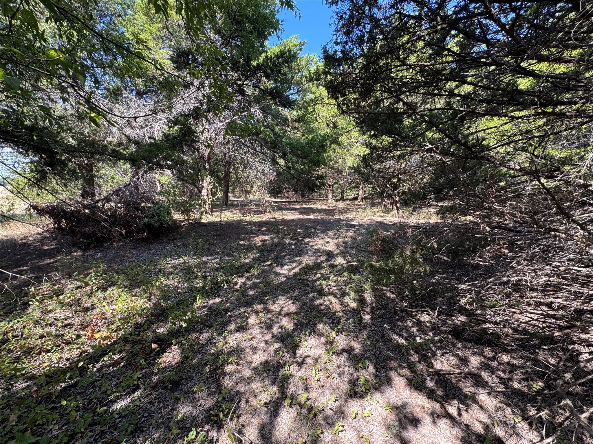 Unimproved Land For Sale in Grayson County , 6395 SH 160 Highway, Whitewright, Texas 75491, 0, 0, Garage spaces, 0 Sqft, built in 1980, mls#21376826, Real Estate Agent in Whitewright, Homes For Sale in Grayson county, Homes For Sale in Whitewright, Realtor in Whitewright Texas, Real Estate Brokerage Independent Realty Texas, Luminita Cordes Realtor