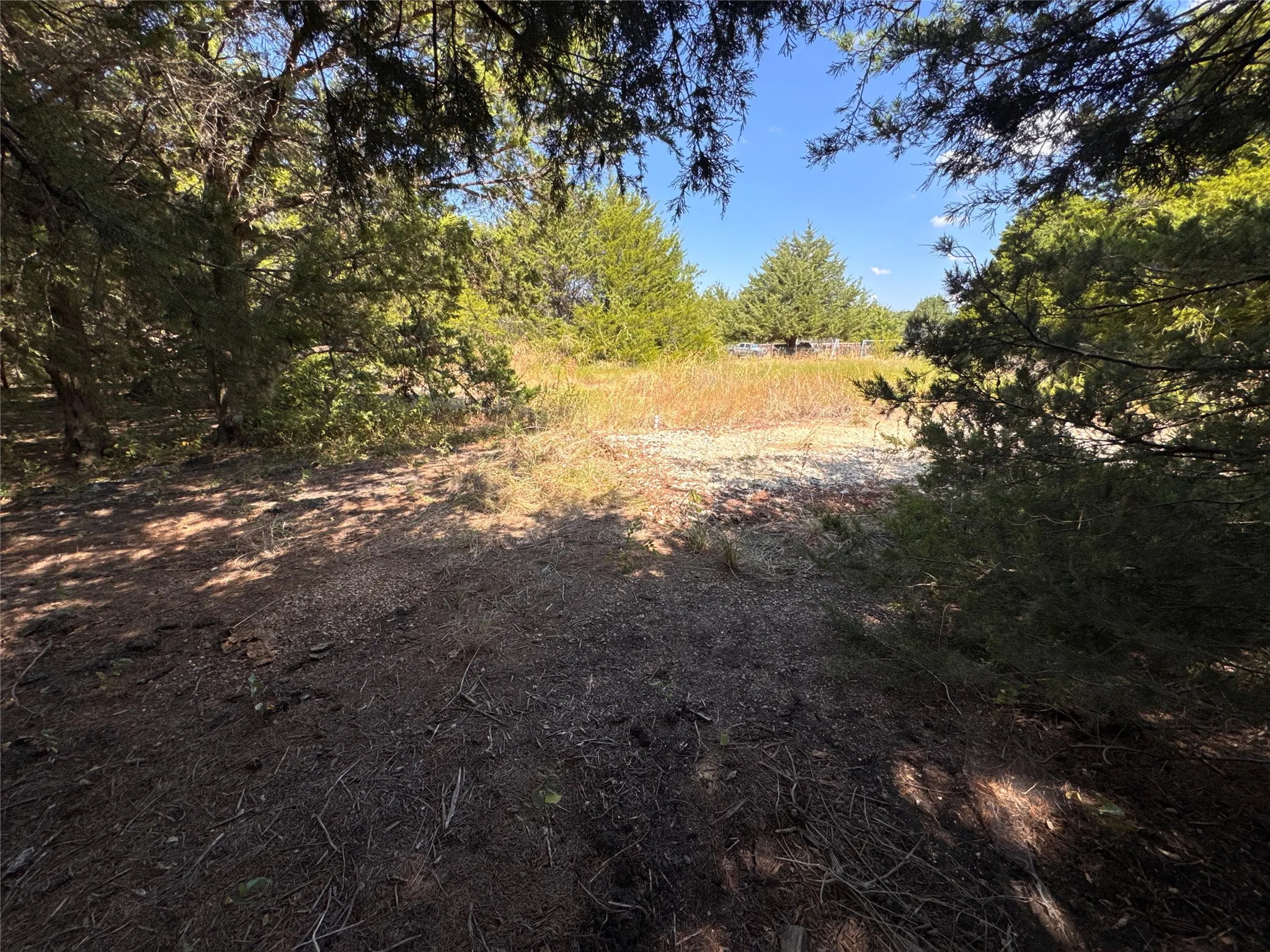 Unimproved Land For Sale in Grayson County , 6395 SH 160 Highway, Whitewright, Texas 75491, 0, 0, Garage spaces, 0 Sqft, built in 1980, mls#21376826, Real Estate Agent in Whitewright, Homes For Sale in Grayson county, Homes For Sale in Whitewright, Realtor in Whitewright Texas, Real Estate Brokerage Independent Realty Texas, Luminita Cordes Realtor