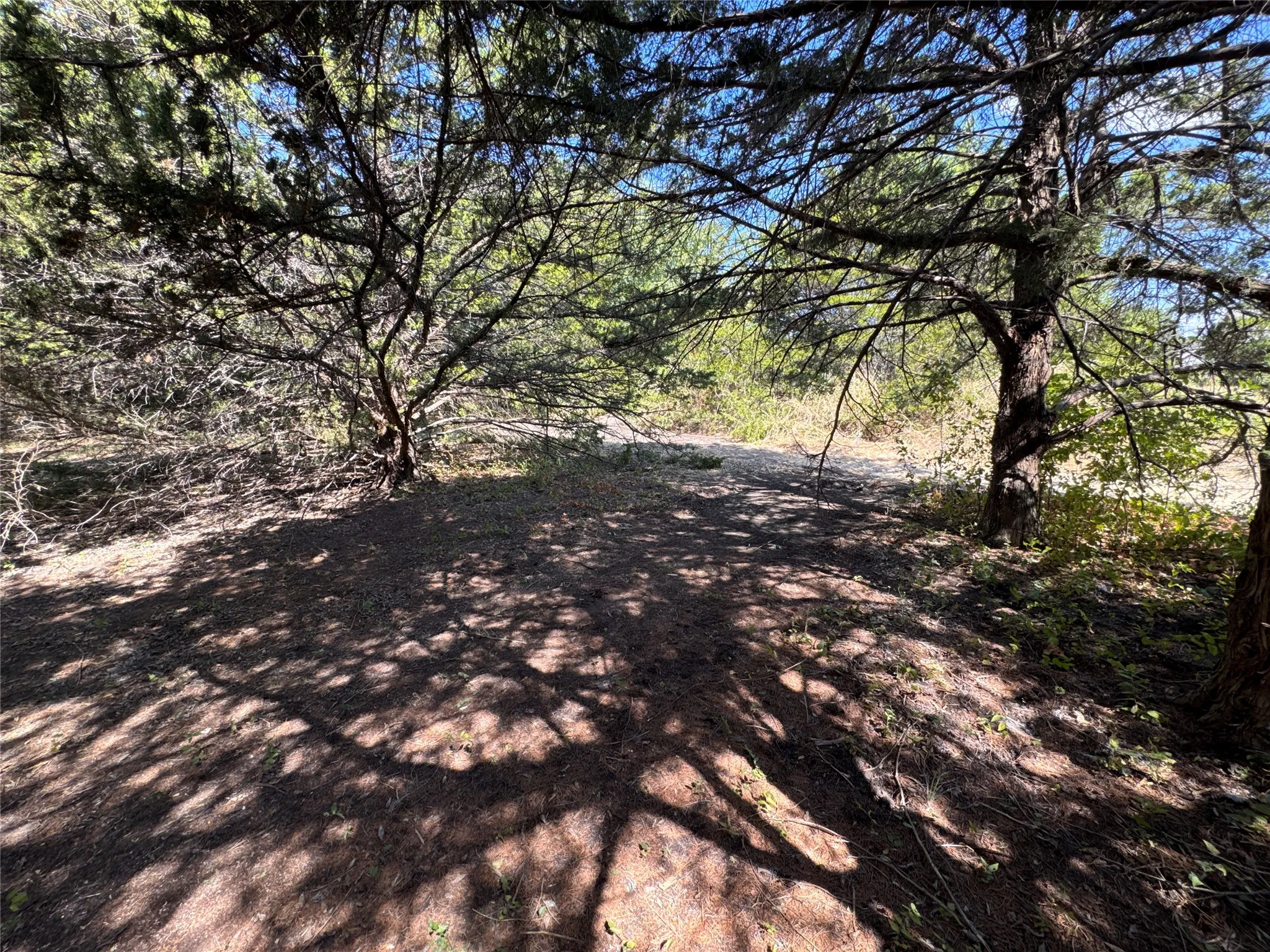 Unimproved Land For Sale in Grayson County , 6395 SH 160 Highway, Whitewright, Texas 75491, 0, 0, Garage spaces, 0 Sqft, built in 1980, mls#21376826, Real Estate Agent in Whitewright, Homes For Sale in Grayson county, Homes For Sale in Whitewright, Realtor in Whitewright Texas, Real Estate Brokerage Independent Realty Texas, Luminita Cordes Realtor