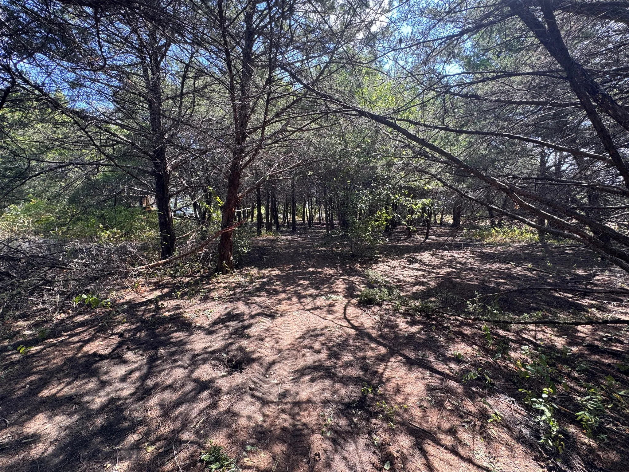 Unimproved Land For Sale in Grayson County , 6395 SH 160 Highway, Whitewright, Texas 75491, 0, 0, Garage spaces, 0 Sqft, built in 1980, mls#21376826, Real Estate Agent in Whitewright, Homes For Sale in Grayson county, Homes For Sale in Whitewright, Realtor in Whitewright Texas, Real Estate Brokerage Independent Realty Texas, Luminita Cordes Realtor