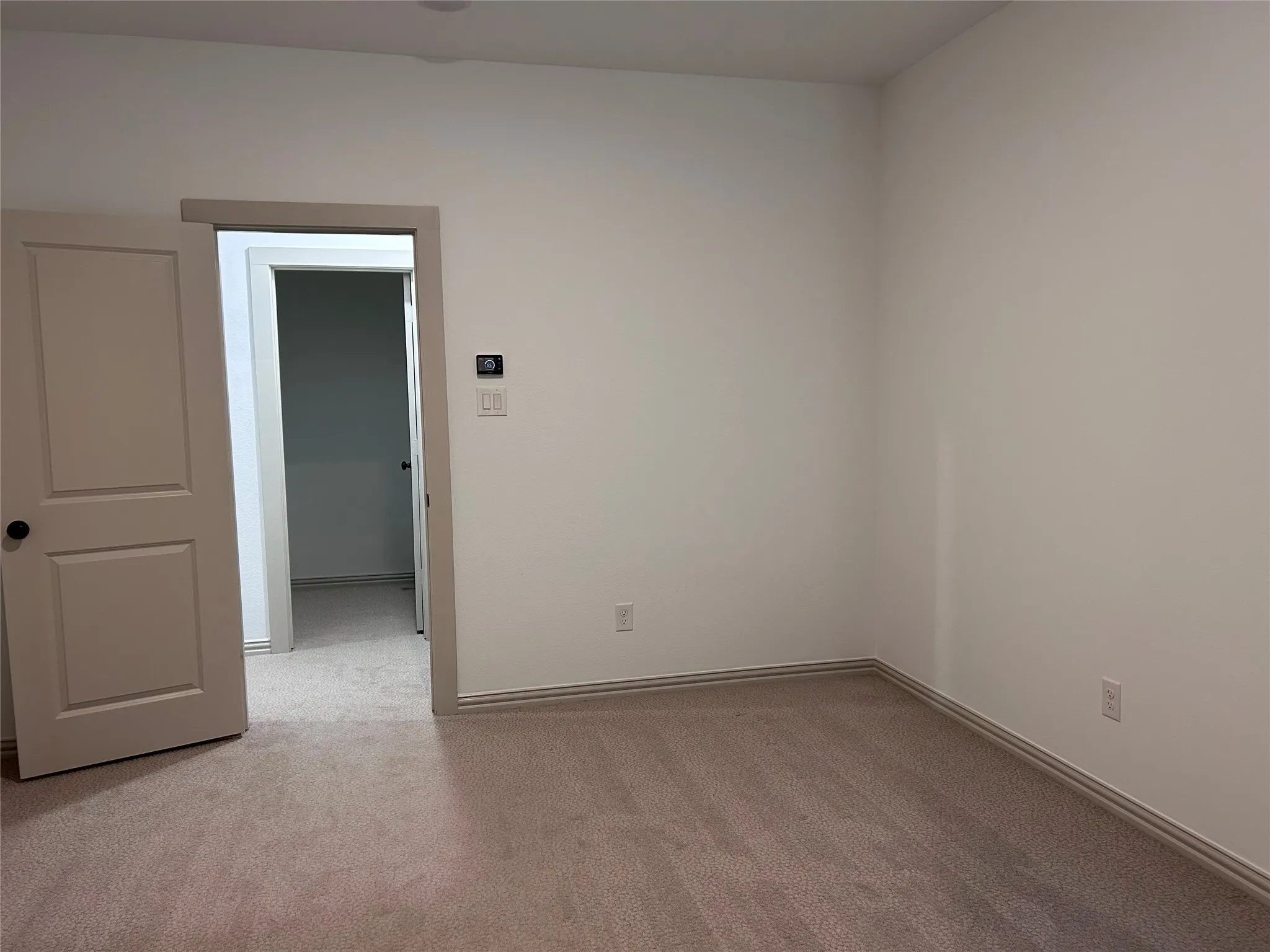Neutral-toned wall paint, carpeted flooring, and a two-panel interior door with a black knob
