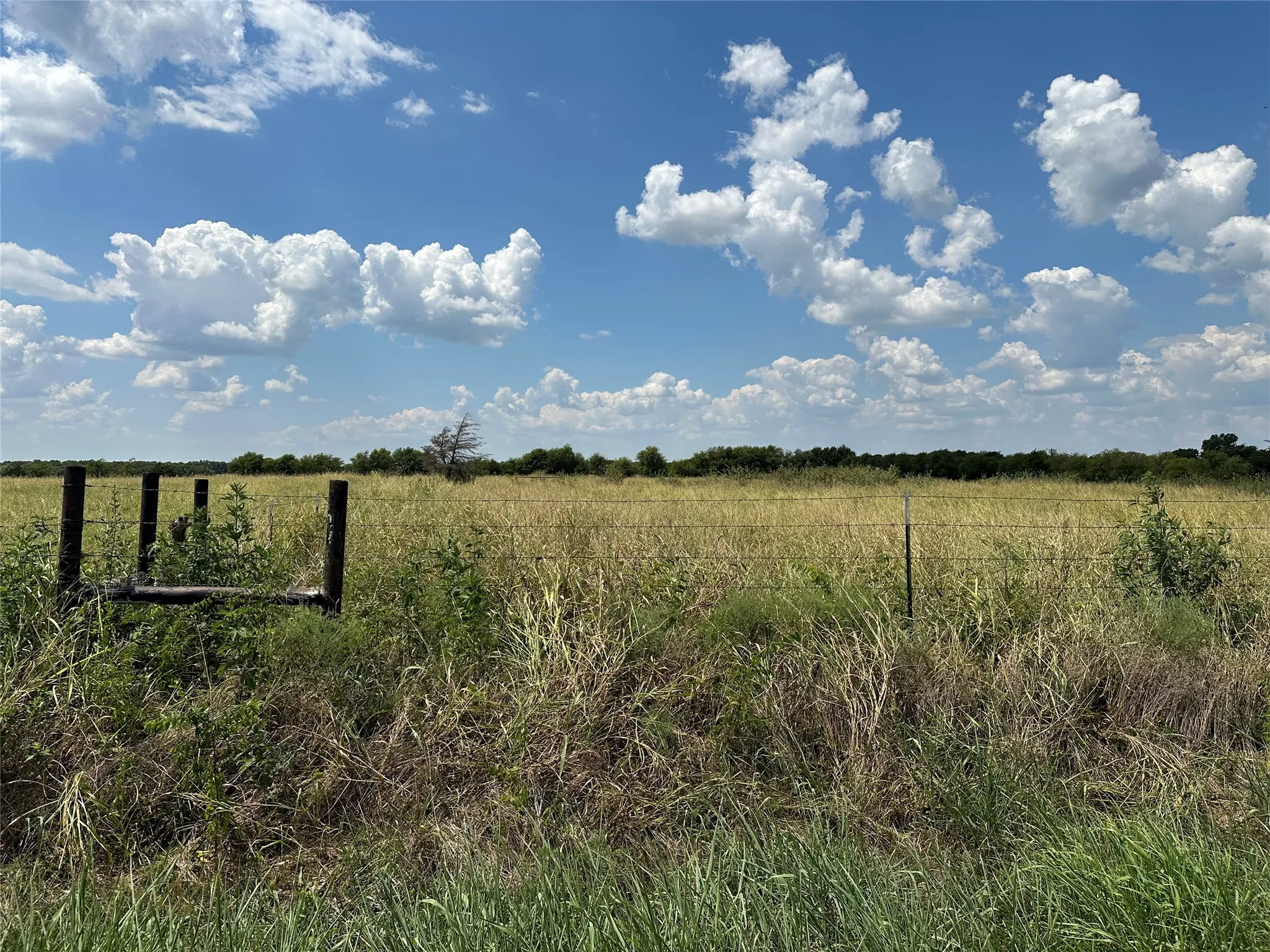 Unimproved Land For Sale in Grayson County , 3767 Eastline Road, Whitewright, Texas 75491, 0, 0, Garage spaces, 0 Sqft, built in 0, mls#21378160, Real Estate Agent in Whitewright, Homes For Sale in Grayson county, Homes For Sale in Whitewright, Realtor in Whitewright Texas, Real Estate Brokerage Independent Realty Texas, Luminita Cordes Realtor