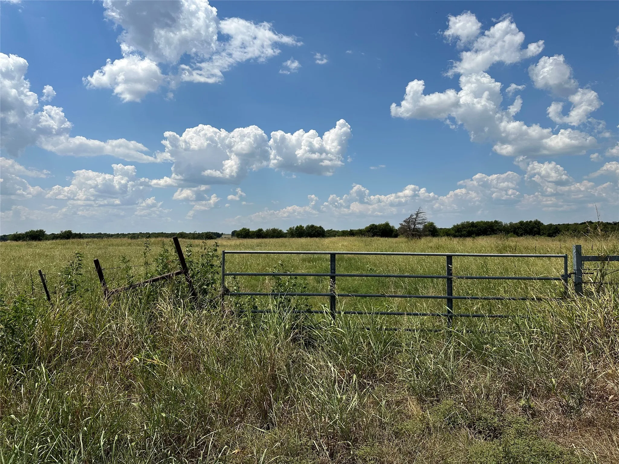 Unimproved Land For Sale in Grayson County , 3767 Eastline Road, Whitewright, Texas 75491, 0, 0, Garage spaces, 0 Sqft, built in 0, mls#21378160, Real Estate Agent in Whitewright, Homes For Sale in Grayson county, Homes For Sale in Whitewright, Realtor in Whitewright Texas, Real Estate Brokerage Independent Realty Texas, Luminita Cordes Realtor