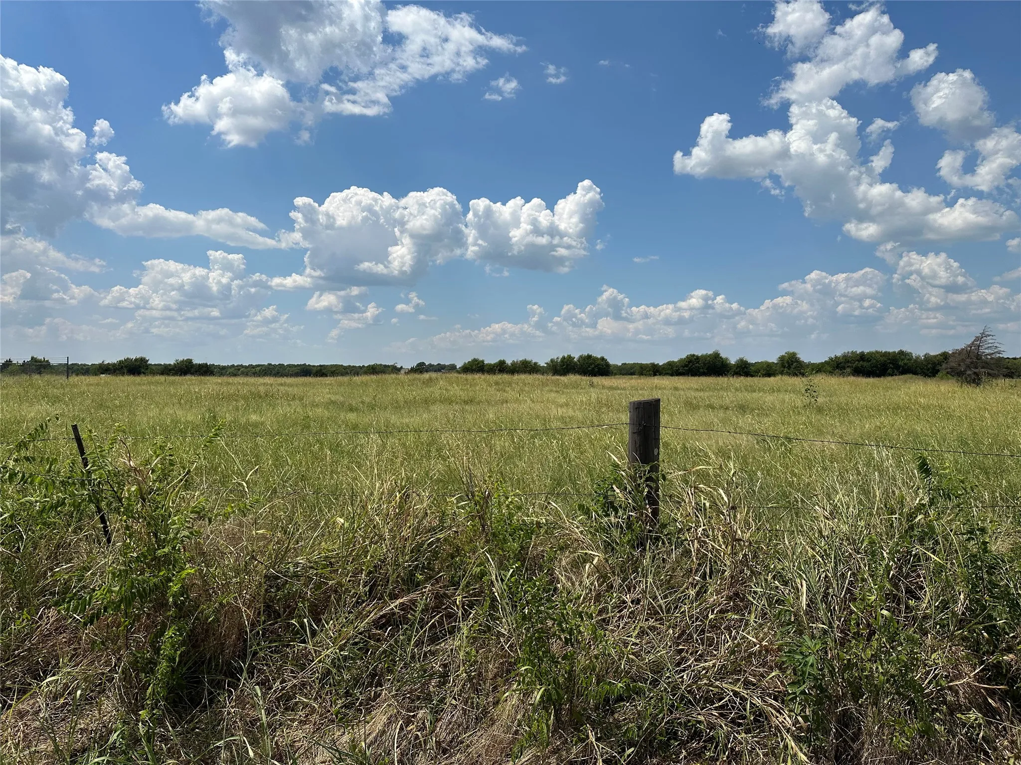 Expansive open field with natural vegetation and a distant tree line, featuring a weathered wooden fence post and wire fencing