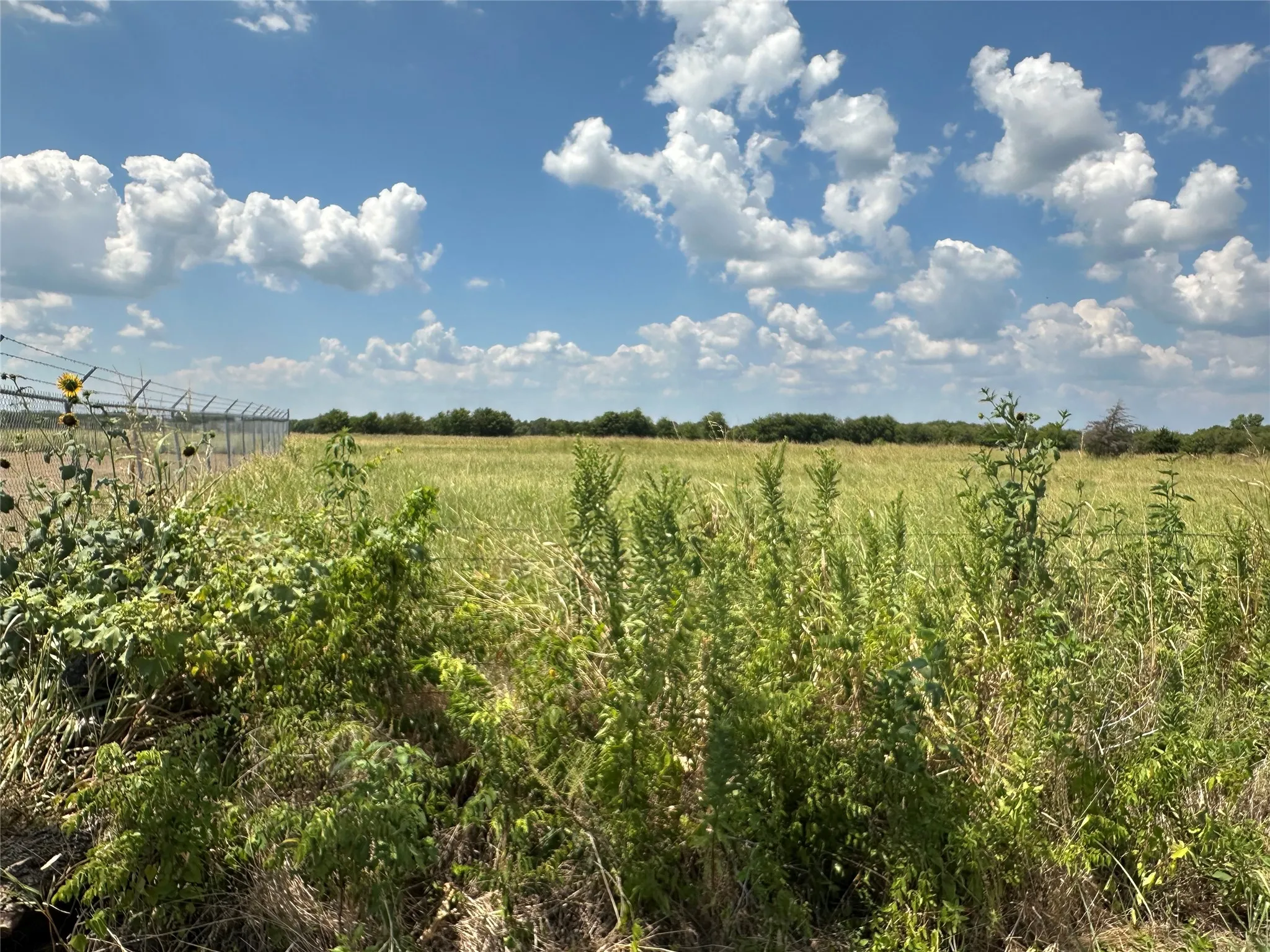 Unimproved Land For Sale in Grayson County , 3767 Eastline Road, Whitewright, Texas 75491, 0, 0, Garage spaces, 0 Sqft, built in 0, mls#21378160, Real Estate Agent in Whitewright, Homes For Sale in Grayson county, Homes For Sale in Whitewright, Realtor in Whitewright Texas, Real Estate Brokerage Independent Realty Texas, Luminita Cordes Realtor
