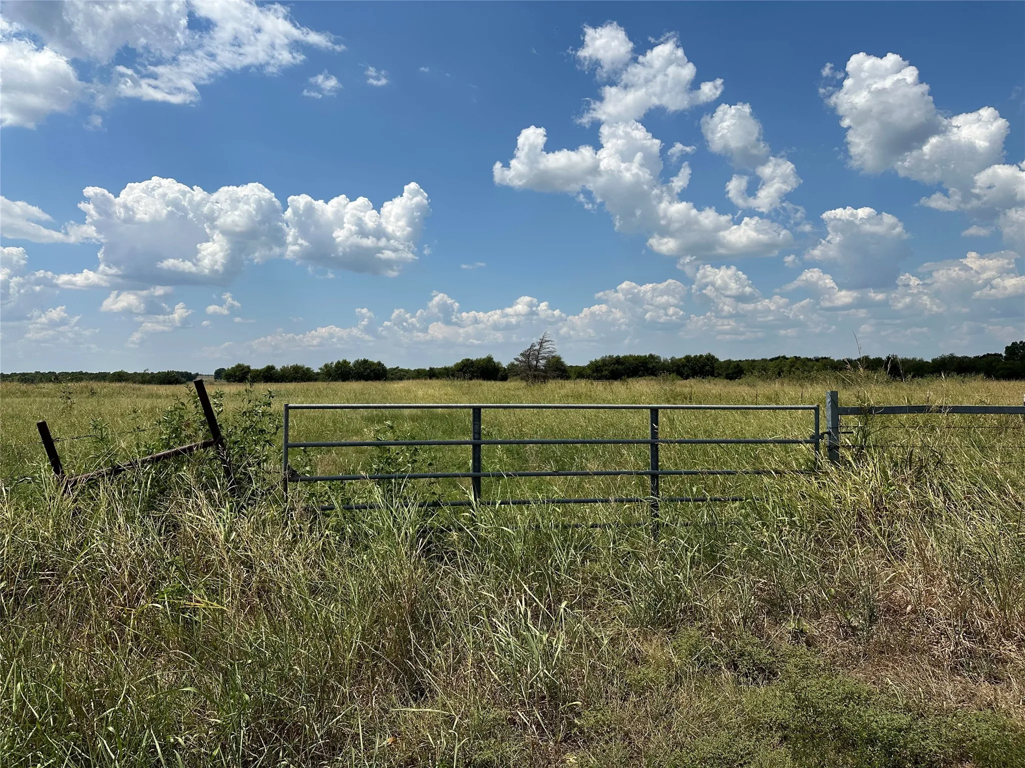 Unimproved Land For Sale in Grayson County , 3767 Eastline Road, Whitewright, Texas 75491, 0, 0, Garage spaces, 0 Sqft, built in 0, mls#21378160, Real Estate Agent in Whitewright, Homes For Sale in Grayson county, Homes For Sale in Whitewright, Realtor in Whitewright Texas, Real Estate Brokerage Independent Realty Texas, Luminita Cordes Realtor