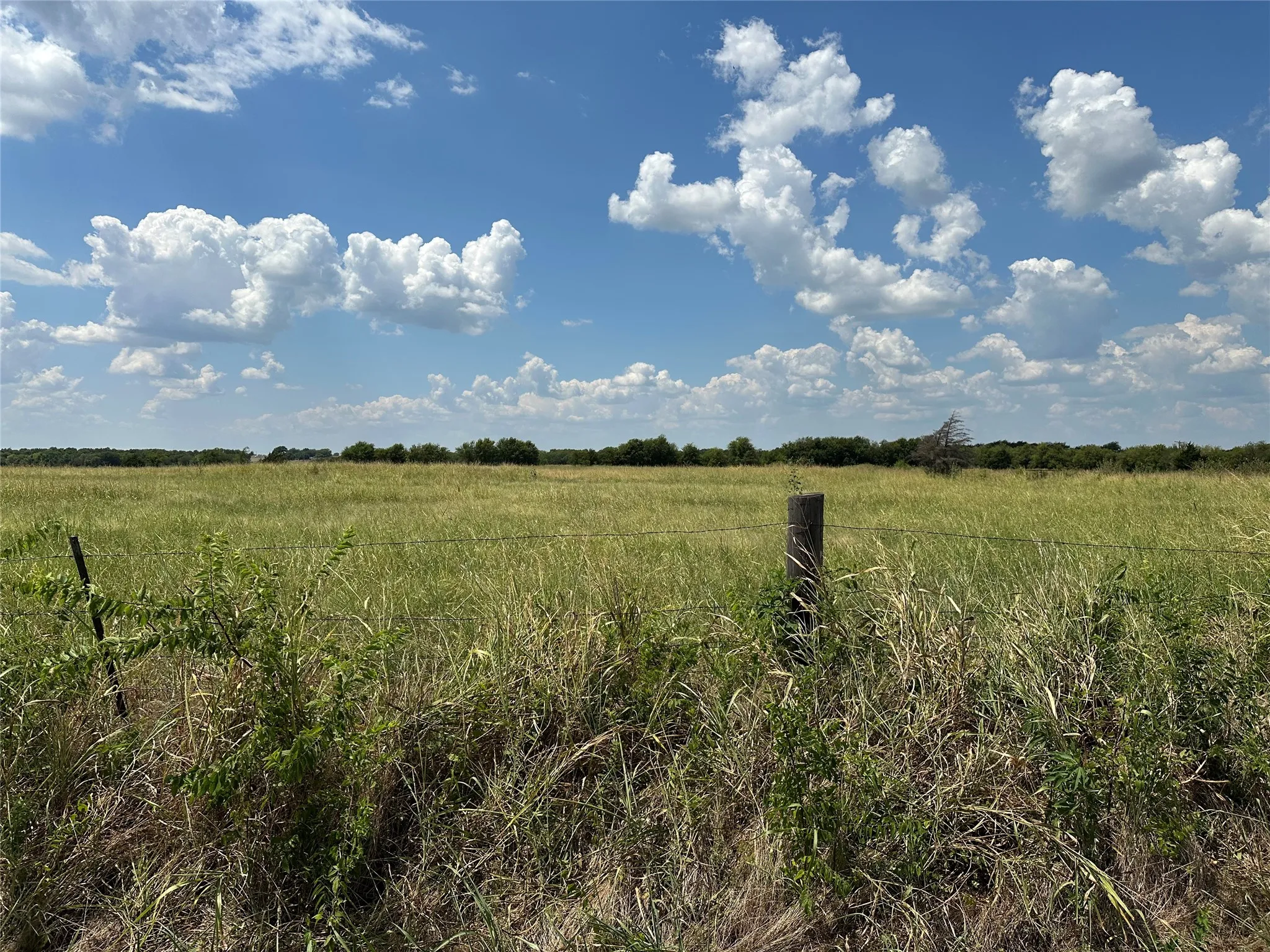 Unimproved Land For Sale in Grayson County , 3767 Eastline Road, Whitewright, Texas 75491, 0, 0, Garage spaces, 0 Sqft, built in 0, mls#21378160, Real Estate Agent in Whitewright, Homes For Sale in Grayson county, Homes For Sale in Whitewright, Realtor in Whitewright Texas, Real Estate Brokerage Independent Realty Texas, Luminita Cordes Realtor