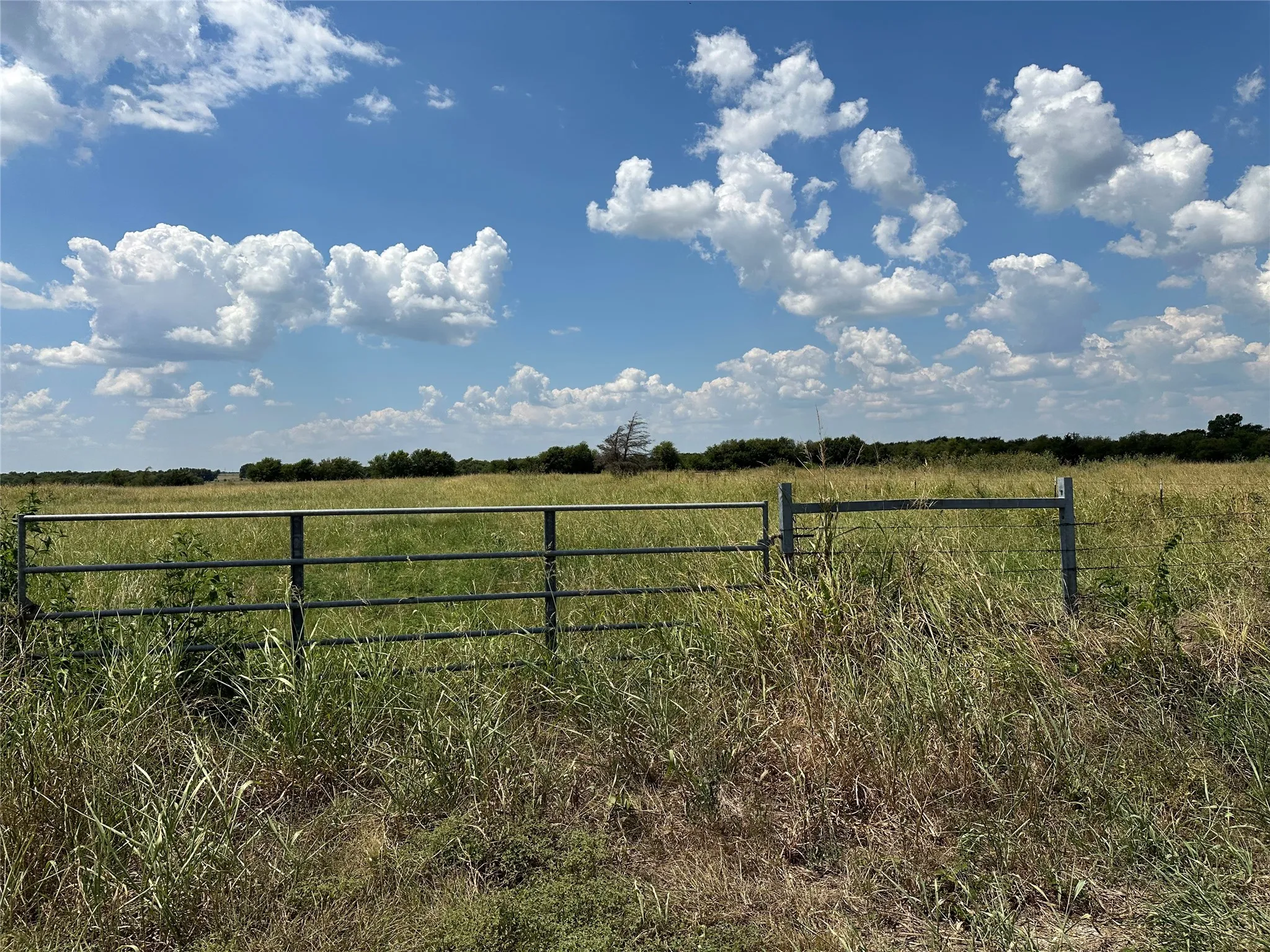 Unimproved Land For Sale in Grayson County , 3767 Eastline Road, Whitewright, Texas 75491, 0, 0, Garage spaces, 0 Sqft, built in 0, mls#21378160, Real Estate Agent in Whitewright, Homes For Sale in Grayson county, Homes For Sale in Whitewright, Realtor in Whitewright Texas, Real Estate Brokerage Independent Realty Texas, Luminita Cordes Realtor