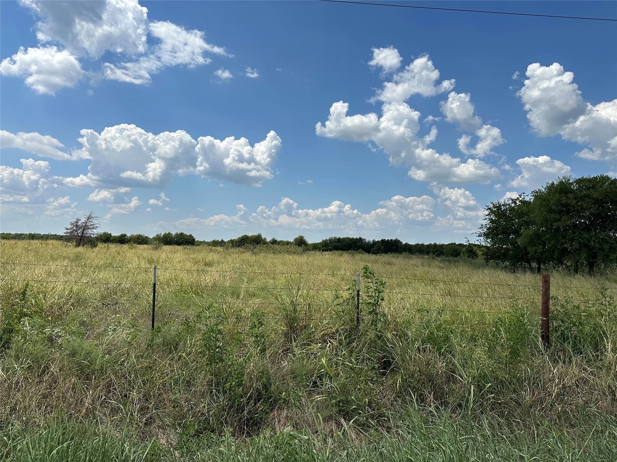 Unimproved Land For Sale in Grayson County , 3767 Eastline Road, Whitewright, Texas 75491, 0, 0, Garage spaces, 0 Sqft, built in 0, mls#21378160, Real Estate Agent in Whitewright, Homes For Sale in Grayson county, Homes For Sale in Whitewright, Realtor in Whitewright Texas, Real Estate Brokerage Independent Realty Texas, Luminita Cordes Realtor