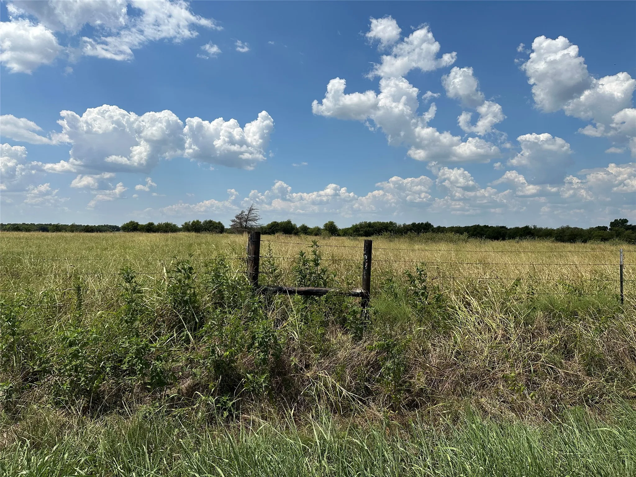 Unimproved Land For Sale in Grayson County , 3767 Eastline Road, Whitewright, Texas 75491, 0, 0, Garage spaces, 0 Sqft, built in 0, mls#21378160, Real Estate Agent in Whitewright, Homes For Sale in Grayson county, Homes For Sale in Whitewright, Realtor in Whitewright Texas, Real Estate Brokerage Independent Realty Texas, Luminita Cordes Realtor