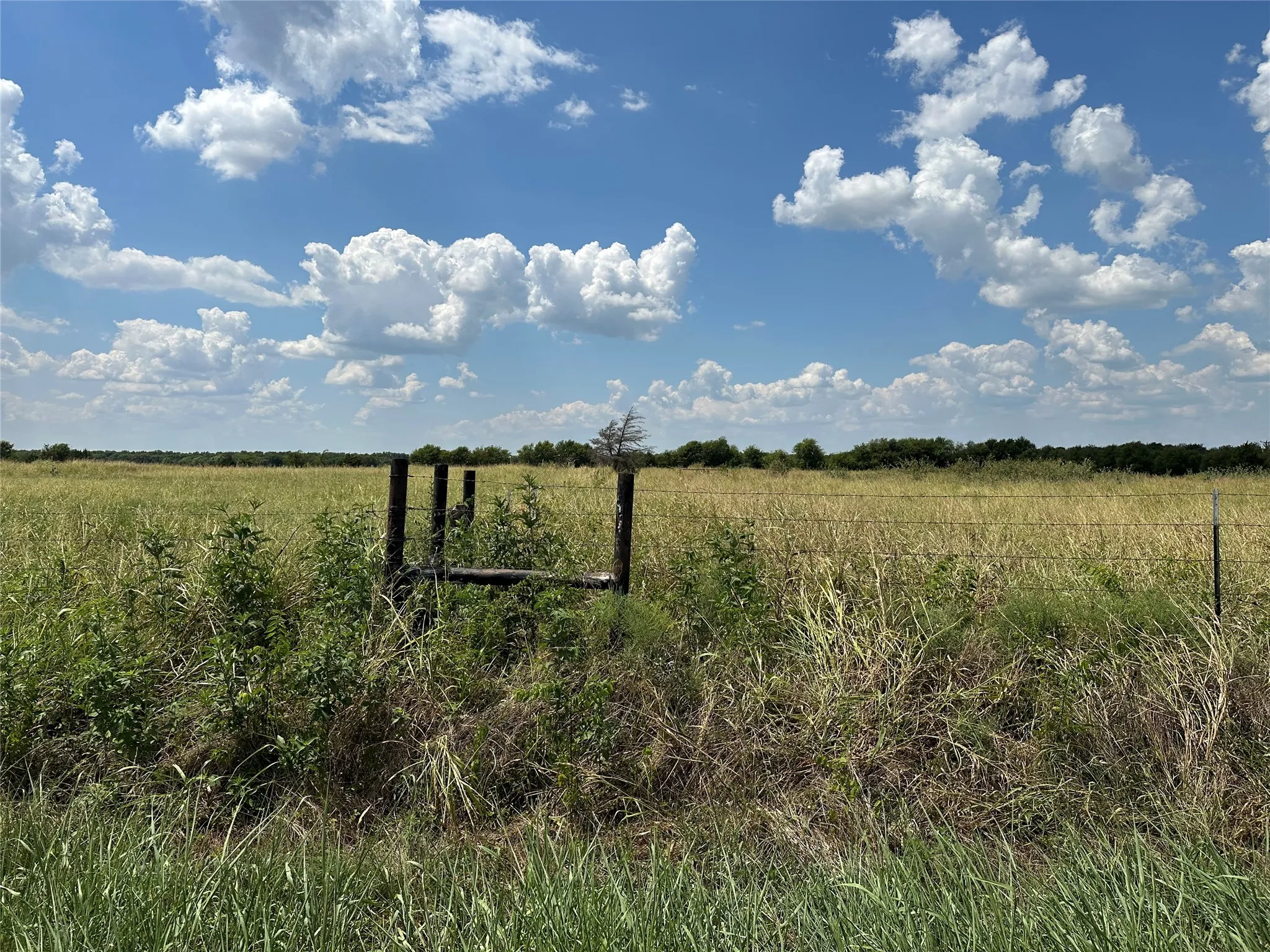 Unimproved Land For Sale in Grayson County , 3767 Eastline Road, Whitewright, Texas 75491, 0, 0, Garage spaces, 0 Sqft, built in 0, mls#21378160, Real Estate Agent in Whitewright, Homes For Sale in Grayson county, Homes For Sale in Whitewright, Realtor in Whitewright Texas, Real Estate Brokerage Independent Realty Texas, Luminita Cordes Realtor
