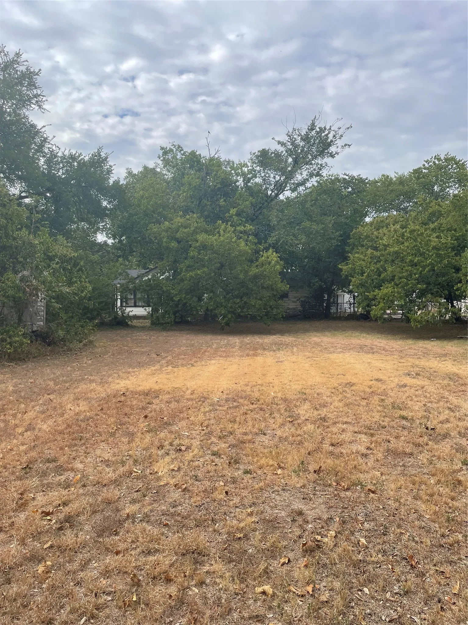 Back yard