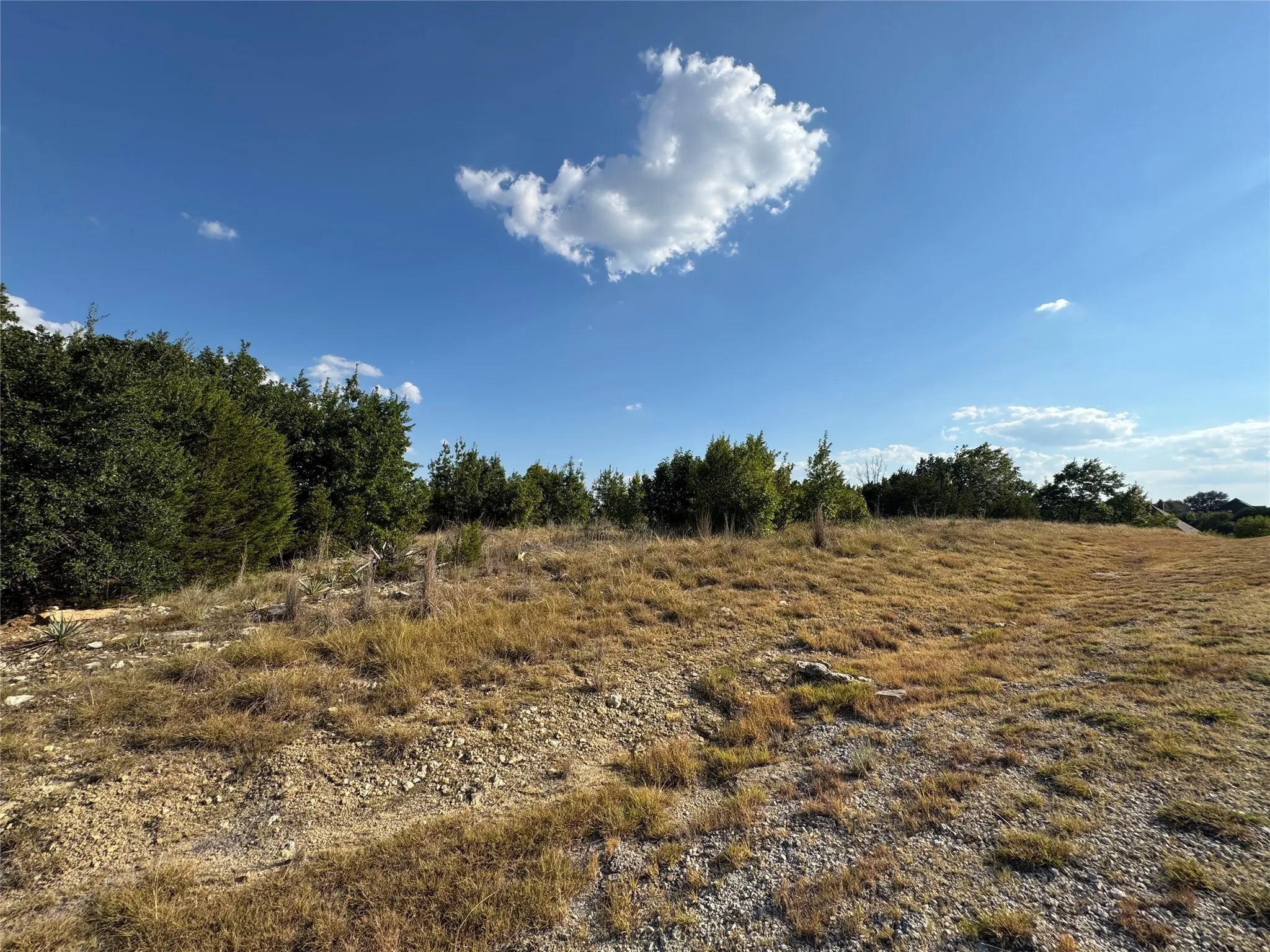 Unimproved Land For Sale in Hood County , 7901 Rohne Court, Granbury, Texas 76049, 0, 0, Garage spaces, 0 Sqft, built in 0, mls#21378204, Real Estate Agent in Granbury, Homes For Sale in Hood county, Homes For Sale in Granbury, Realtor in Granbury Texas, Real Estate Brokerage Independent Realty Texas, Luminita Cordes Realtor