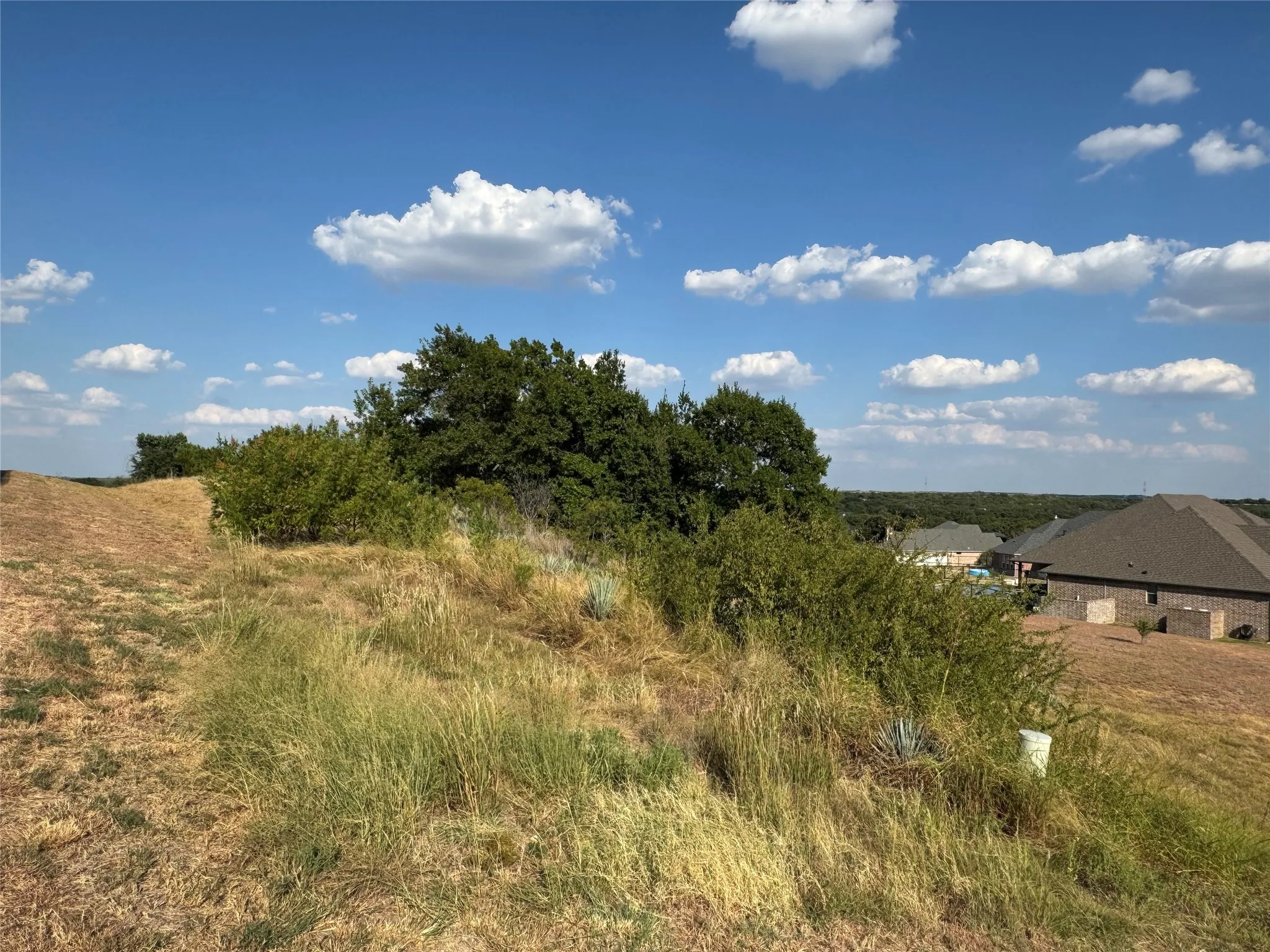 Unimproved Land For Sale in Hood County , 7901 Rohne Court, Granbury, Texas 76049, 0, 0, Garage spaces, 0 Sqft, built in 0, mls#21378204, Real Estate Agent in Granbury, Homes For Sale in Hood county, Homes For Sale in Granbury, Realtor in Granbury Texas, Real Estate Brokerage Independent Realty Texas, Luminita Cordes Realtor