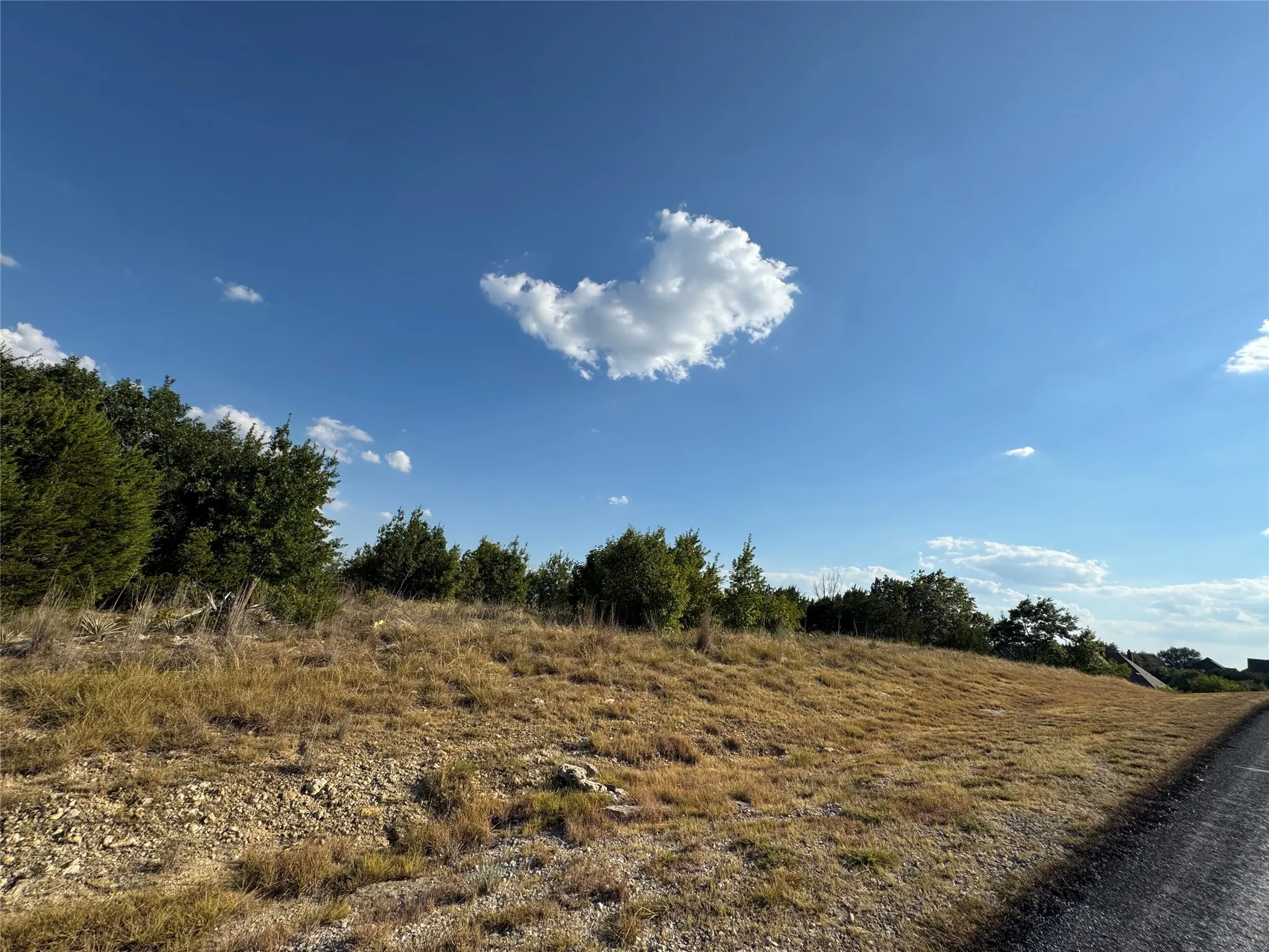 Unimproved Land For Sale in Hood County , 7901 Rohne Court, Granbury, Texas 76049, 0, 0, Garage spaces, 0 Sqft, built in 0, mls#21378204, Real Estate Agent in Granbury, Homes For Sale in Hood county, Homes For Sale in Granbury, Realtor in Granbury Texas, Real Estate Brokerage Independent Realty Texas, Luminita Cordes Realtor
