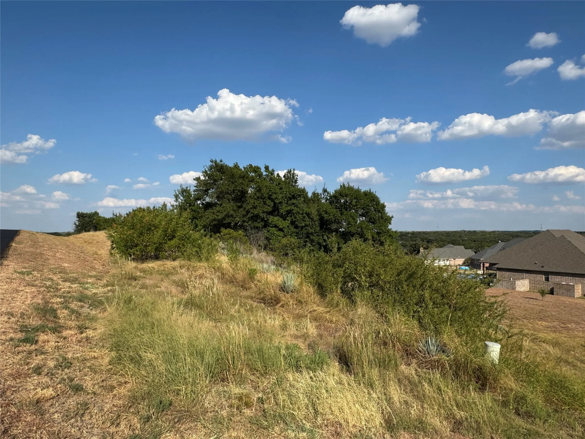 Unimproved Land For Sale in Hood County , 7901 Rohne Court, Granbury, Texas 76049, 0, 0, Garage spaces, 0 Sqft, built in 0, mls#21378204, Real Estate Agent in Granbury, Homes For Sale in Hood county, Homes For Sale in Granbury, Realtor in Granbury Texas, Real Estate Brokerage Independent Realty Texas, Luminita Cordes Realtor