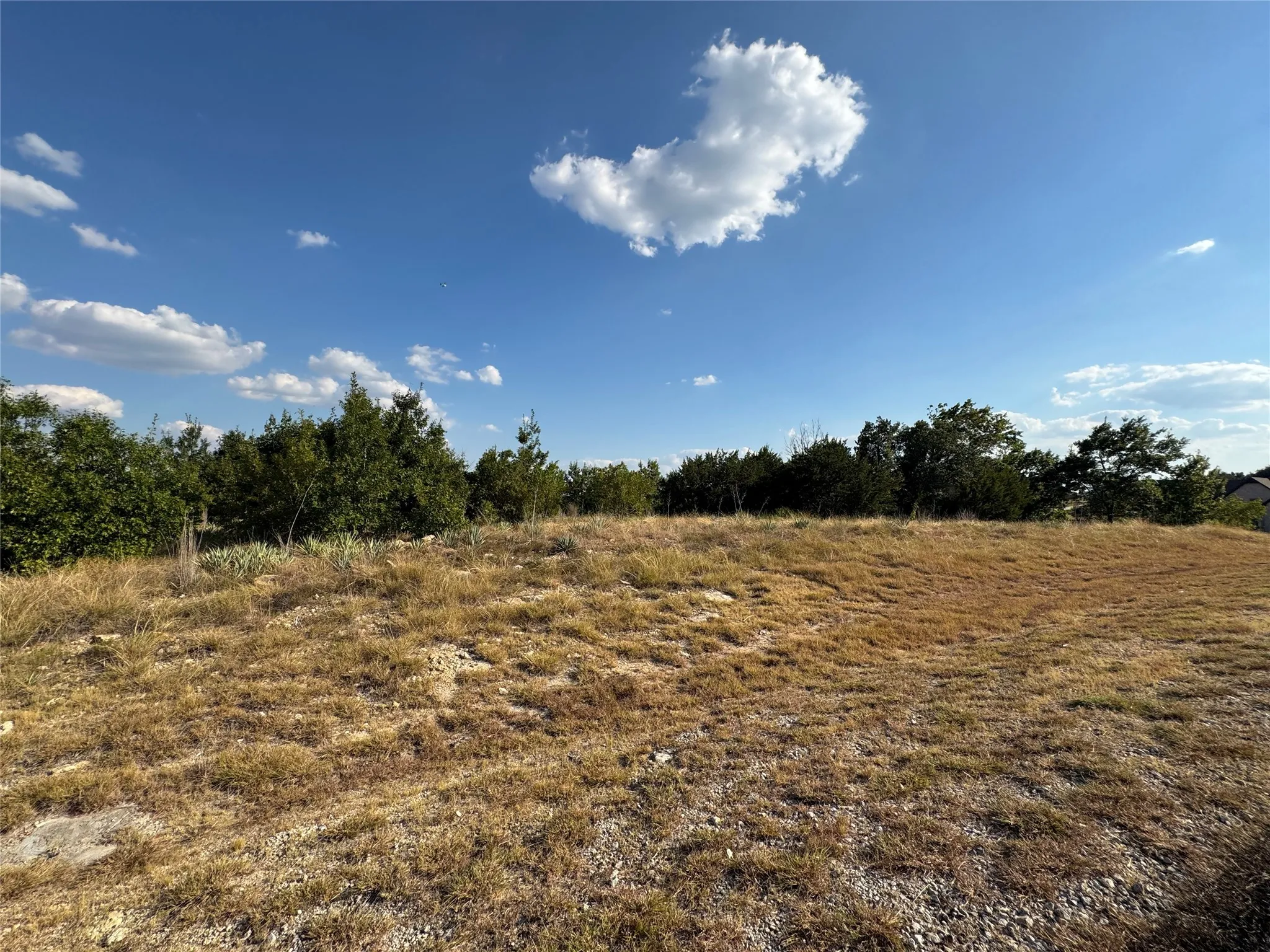 Unimproved Land For Sale in Hood County , 7901 Rohne Court, Granbury, Texas 76049, 0, 0, Garage spaces, 0 Sqft, built in 0, mls#21378204, Real Estate Agent in Granbury, Homes For Sale in Hood county, Homes For Sale in Granbury, Realtor in Granbury Texas, Real Estate Brokerage Independent Realty Texas, Luminita Cordes Realtor