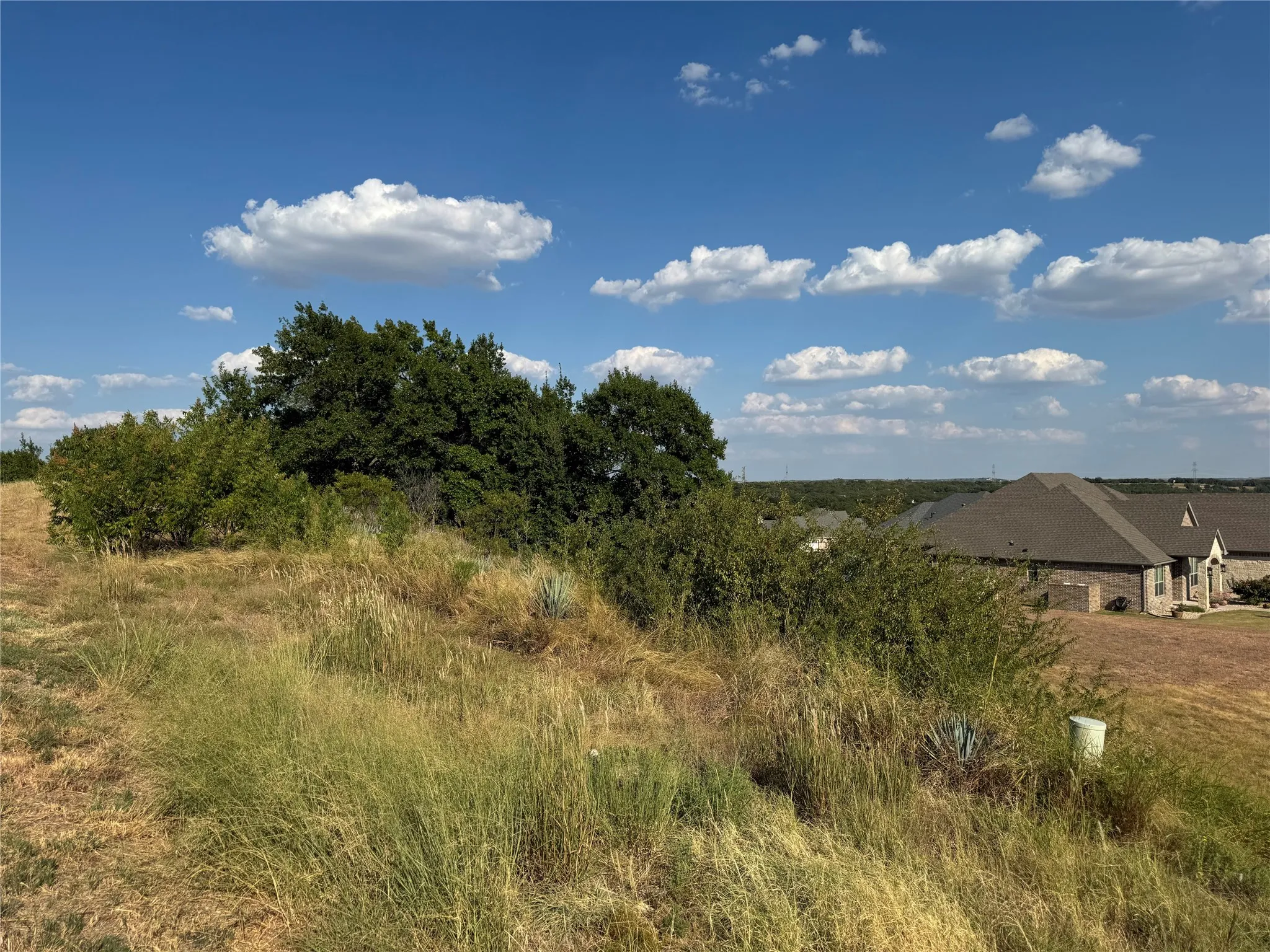 Unimproved Land For Sale in Hood County , 7901 Rohne Court, Granbury, Texas 76049, 0, 0, Garage spaces, 0 Sqft, built in 0, mls#21378204, Real Estate Agent in Granbury, Homes For Sale in Hood county, Homes For Sale in Granbury, Realtor in Granbury Texas, Real Estate Brokerage Independent Realty Texas, Luminita Cordes Realtor