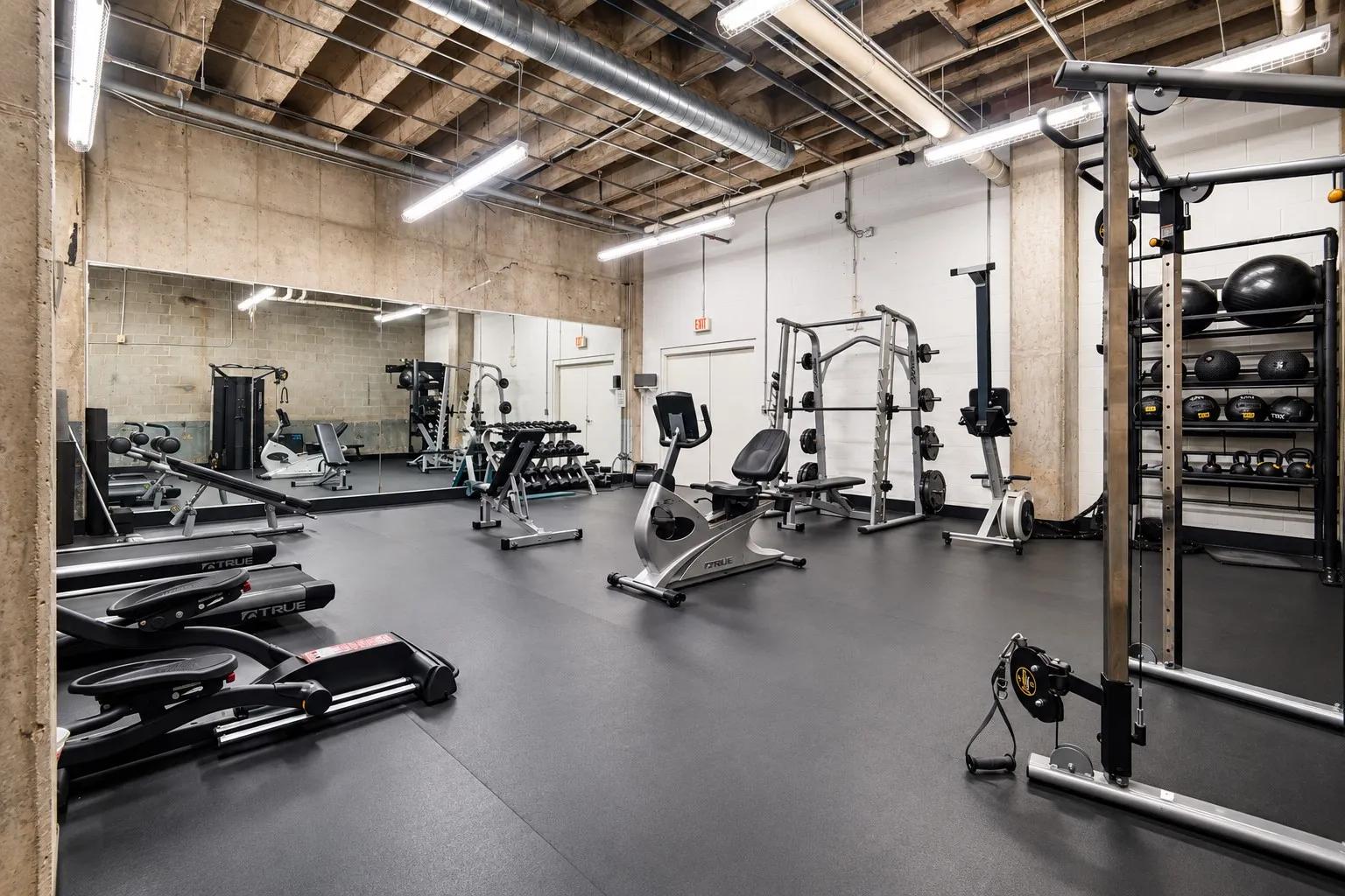 Fantastic Private Gym!