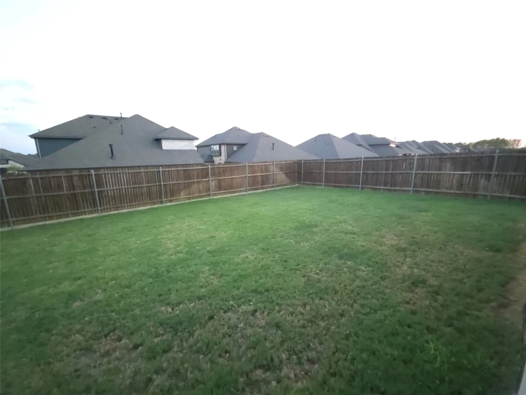 Expansive lawn area enclosed by a wooden privacy fence, creating a defined outdoor space