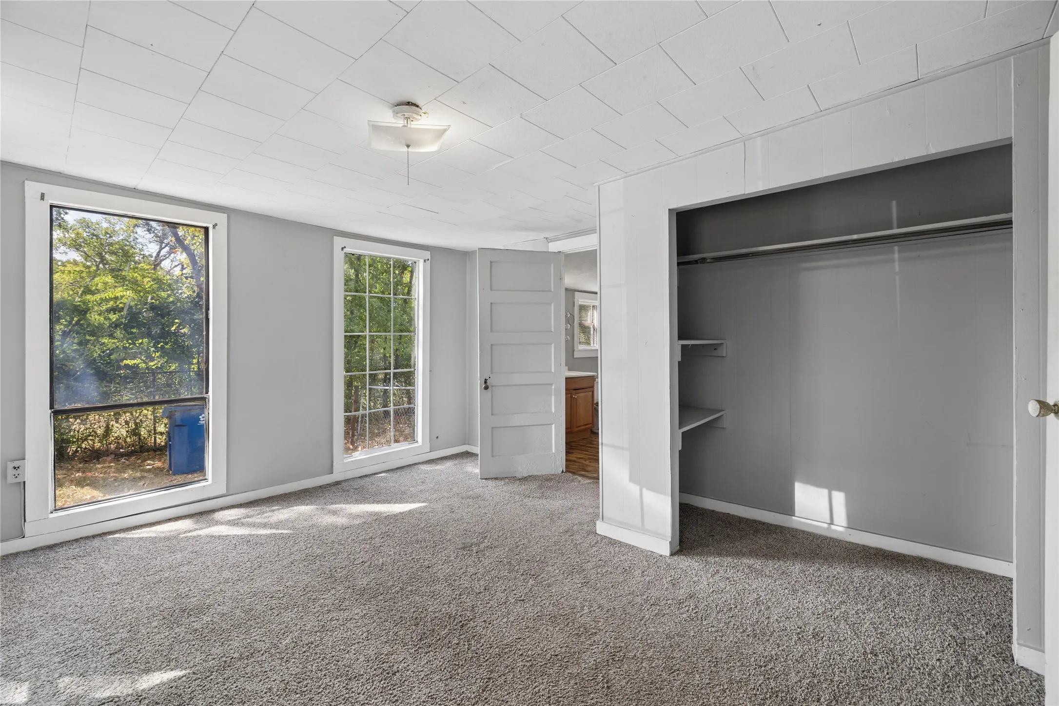 Soft gray carpeting