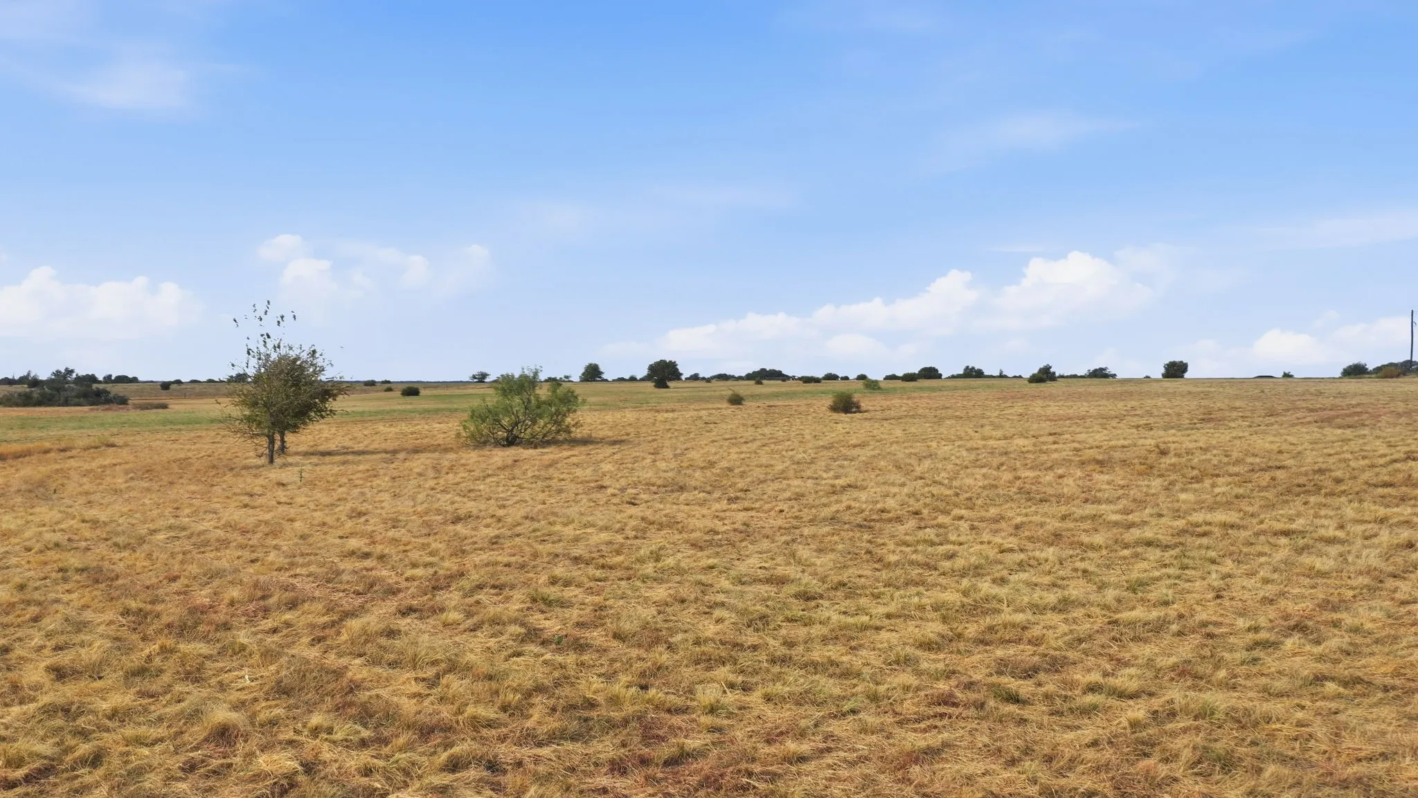 Unimproved Land For Sale in Parker County , 1151 Sweet Springs Road, Weatherford, Texas 76088, 0, 0, Garage spaces, 0 Sqft, built in 0, mls#21378239, Real Estate Agent in Weatherford, Homes For Sale in Parker county, Homes For Sale in Weatherford, Realtor in Weatherford Texas, Real Estate Brokerage Independent Realty Texas, Luminita Cordes Realtor