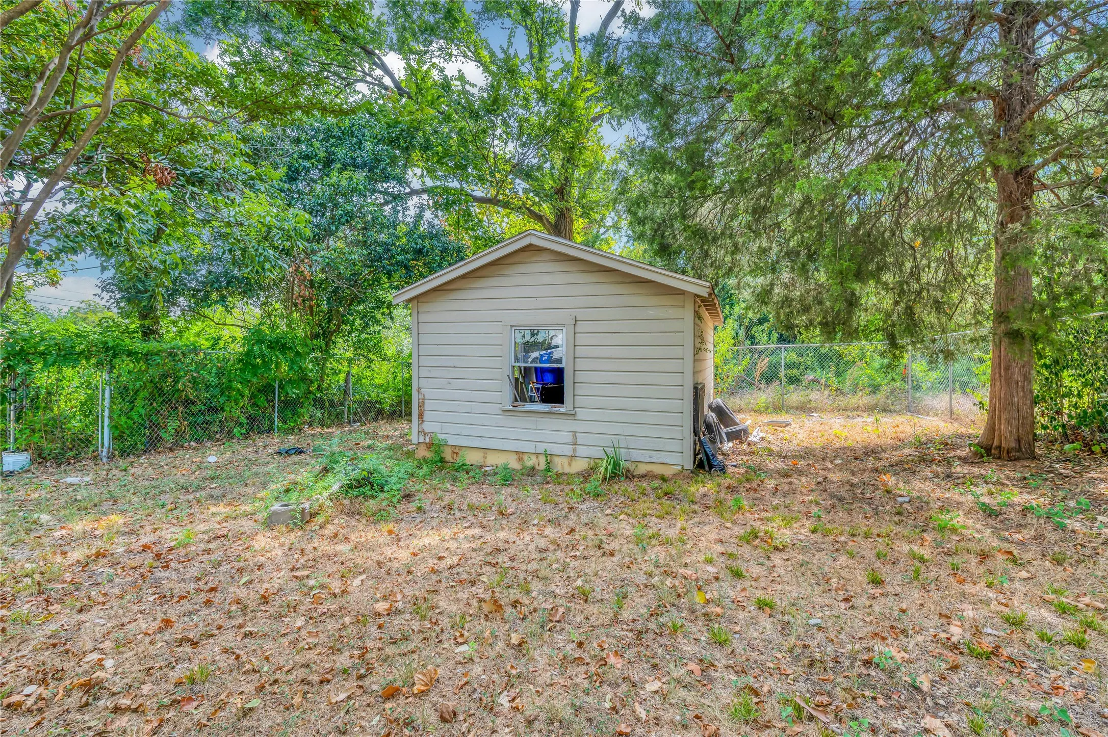 Storage shed with horizontal siding and a single window, surrounded by mature trees