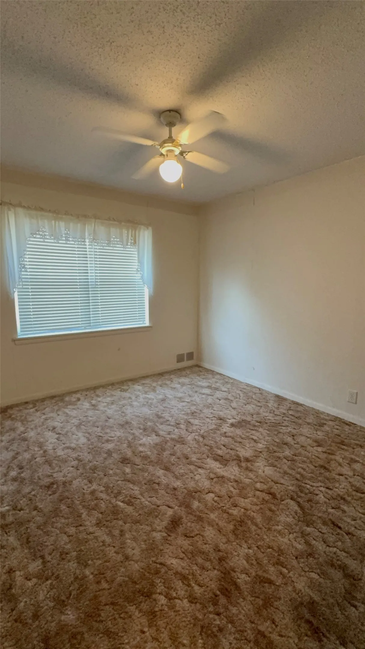 Window with blinds and ceiling fan. Large closet.
