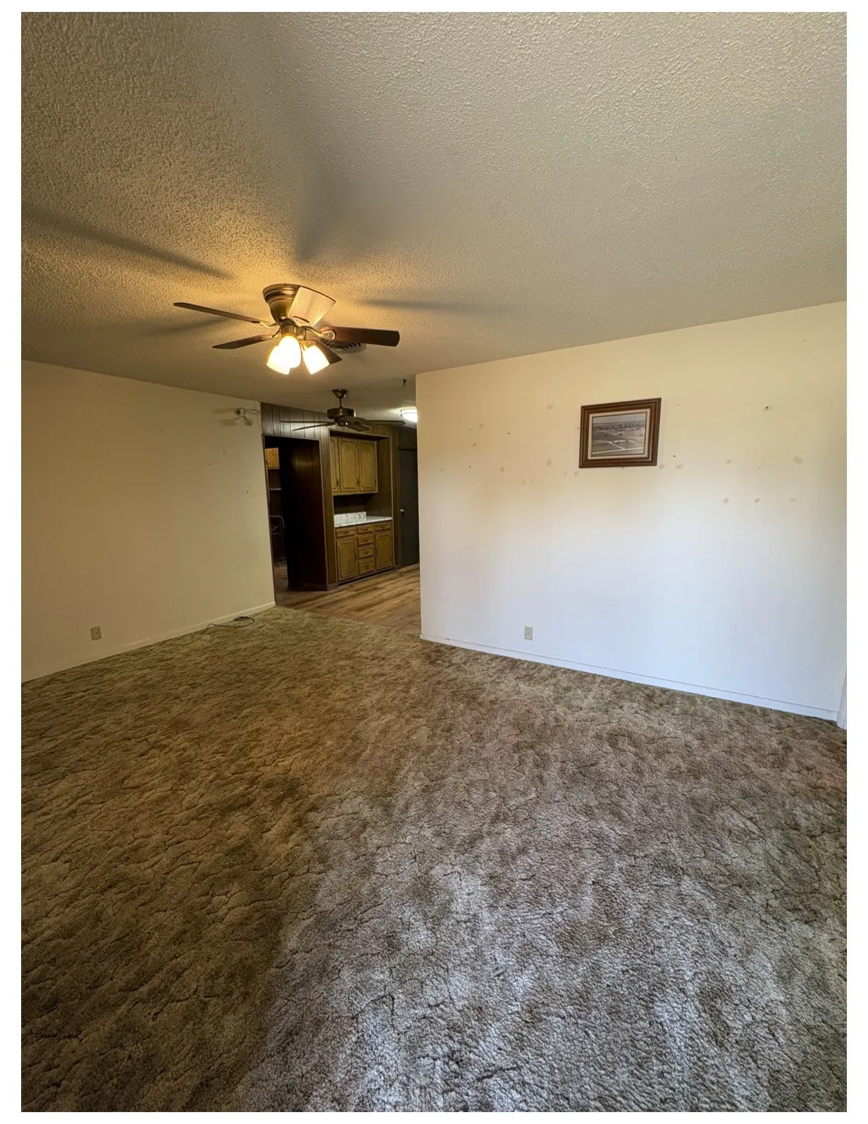 Large living room with ceiling fan.