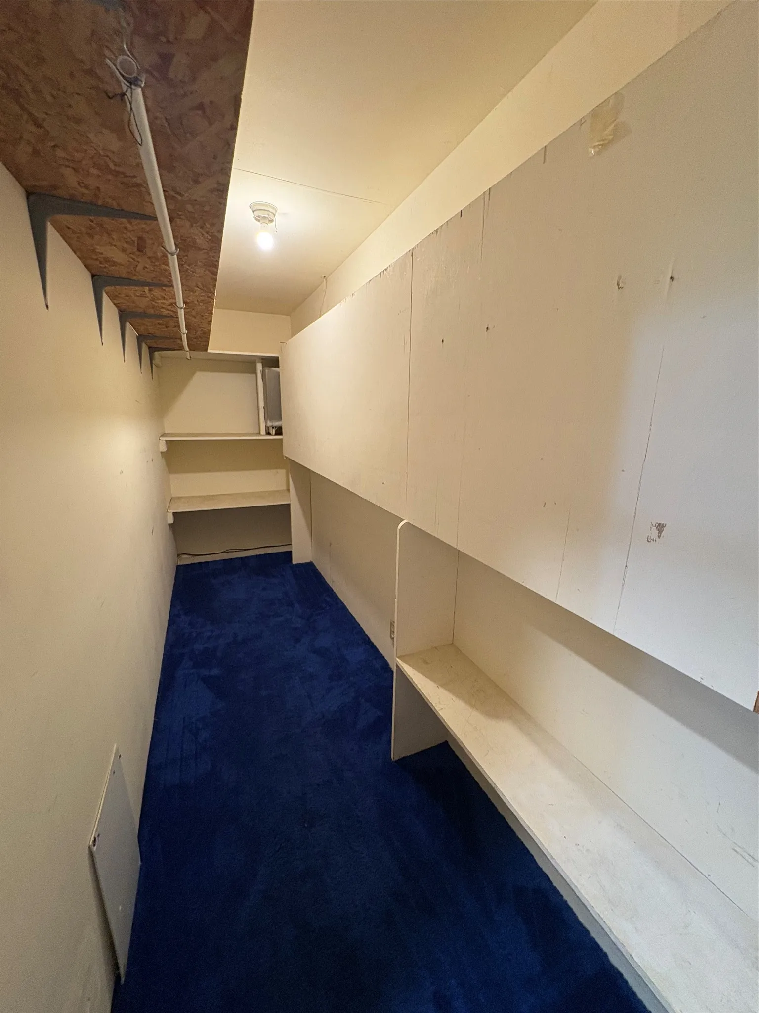 Large storage room with built in shelving.