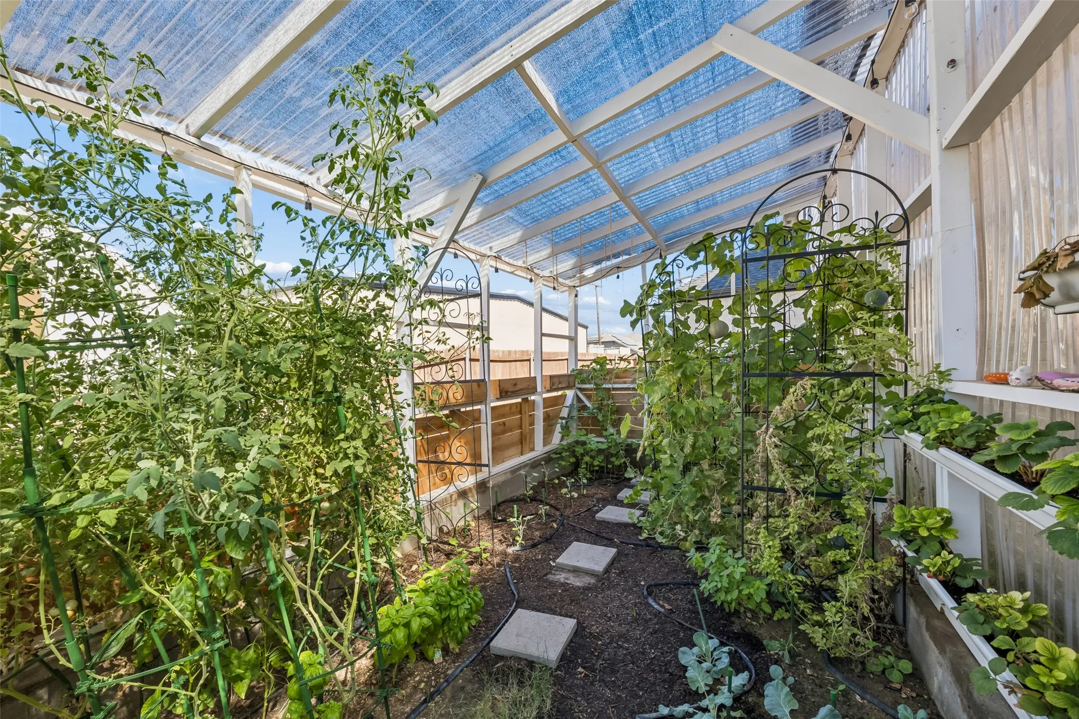 Inside Green House. See fruit and vegetable list in transaction desk.
