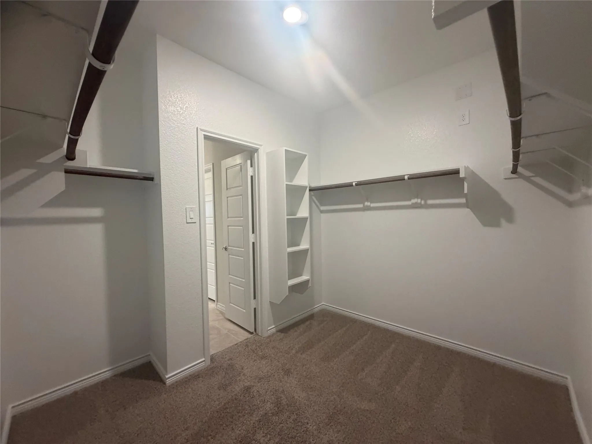 Spacious closet featuring wall-mounted shelving, built-in rod hanging systems, and neutral-tone carpeting