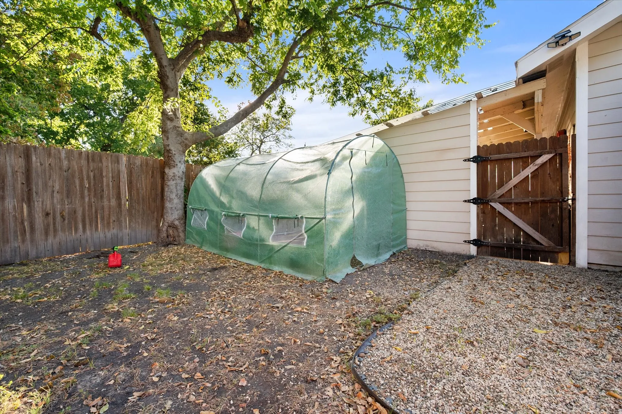 Green house for plants