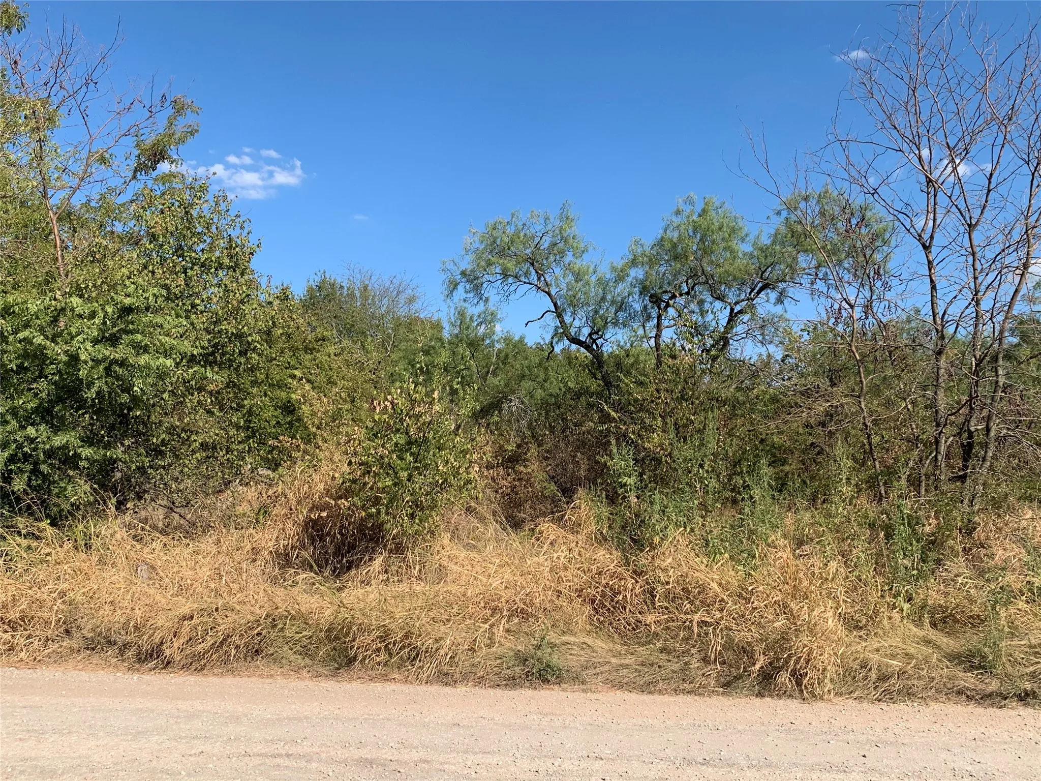 Unimproved Land For Sale in Wise County , 103 Bridlewood Lane, Bridgeport, Texas 76426, 0, 0, Garage spaces, 0 Sqft, built in 0, mls#21378302, Real Estate Agent in Bridgeport, Homes For Sale in Wise county, Homes For Sale in Bridgeport, Realtor in Bridgeport Texas, Real Estate Brokerage Independent Realty Texas, Luminita Cordes Realtor