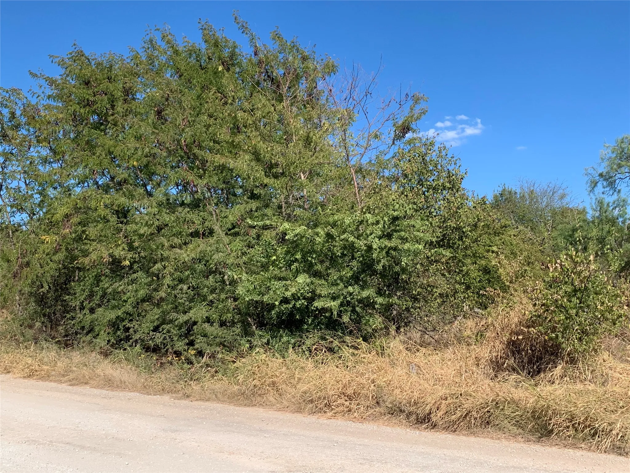Unimproved Land For Sale in Wise County , 103 Bridlewood Lane, Bridgeport, Texas 76426, 0, 0, Garage spaces, 0 Sqft, built in 0, mls#21378302, Real Estate Agent in Bridgeport, Homes For Sale in Wise county, Homes For Sale in Bridgeport, Realtor in Bridgeport Texas, Real Estate Brokerage Independent Realty Texas, Luminita Cordes Realtor