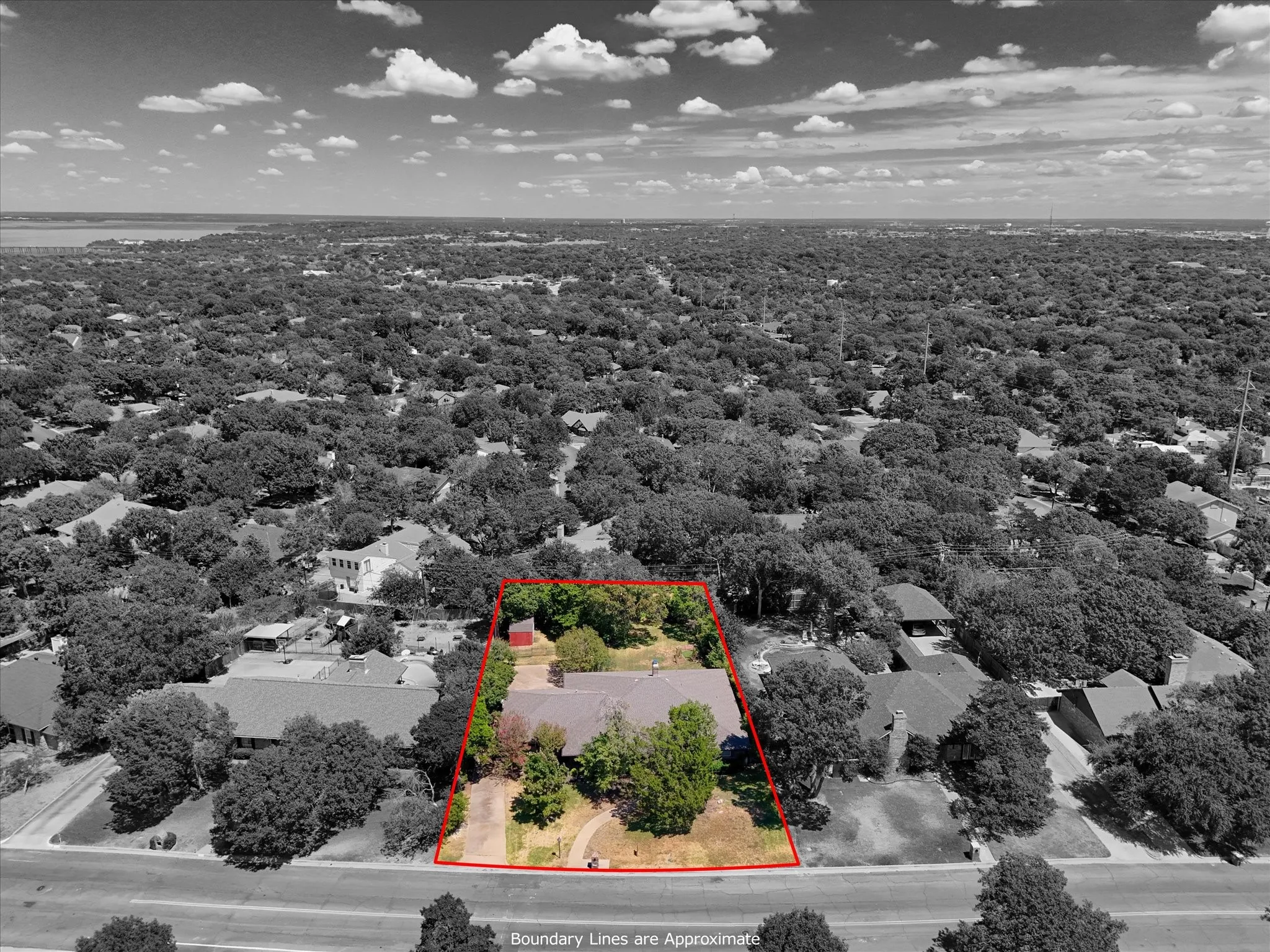 Expansive lot with mature trees