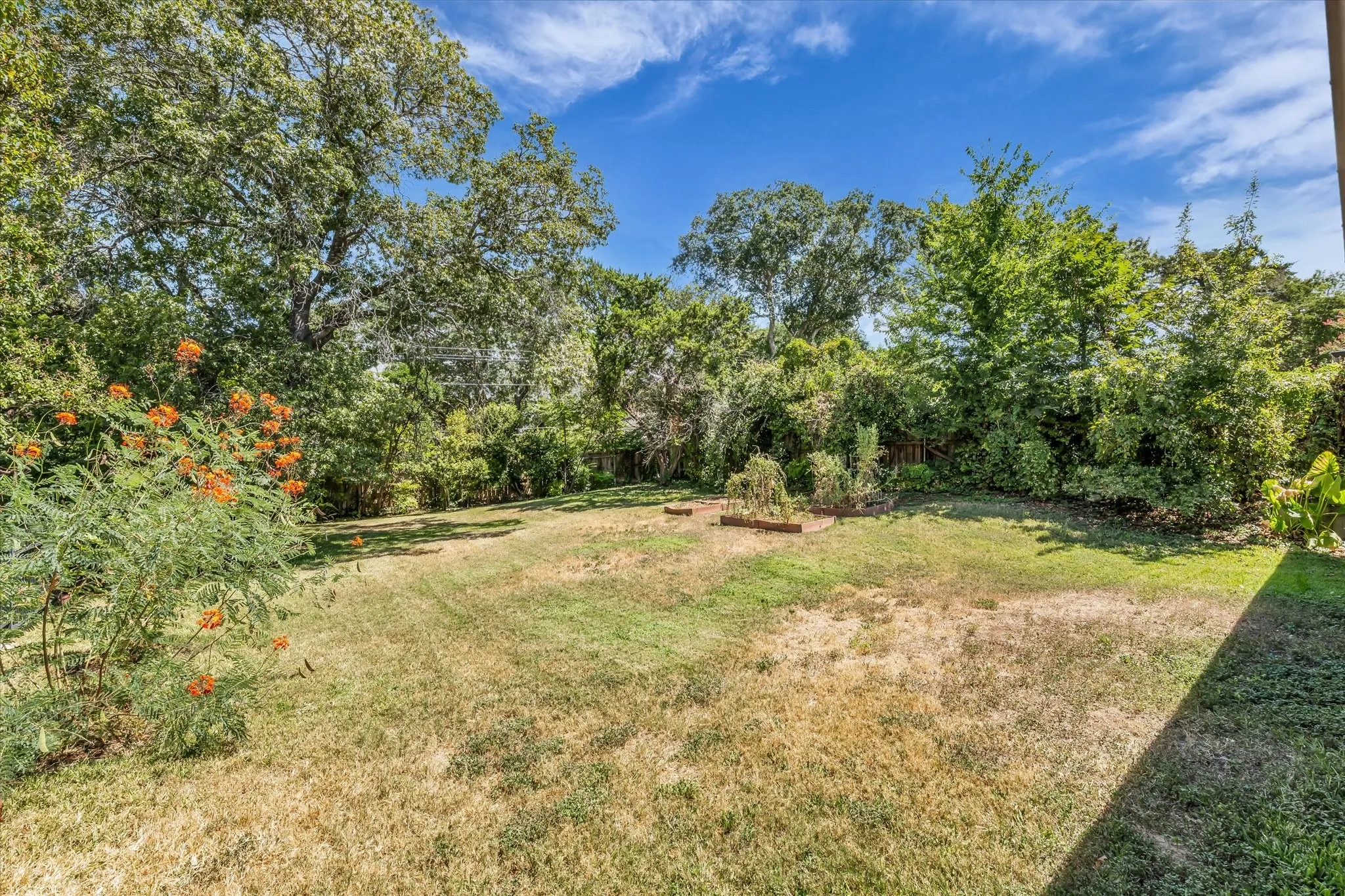 Expansive backyard featuring mature trees, established greenery, and raised garden beds