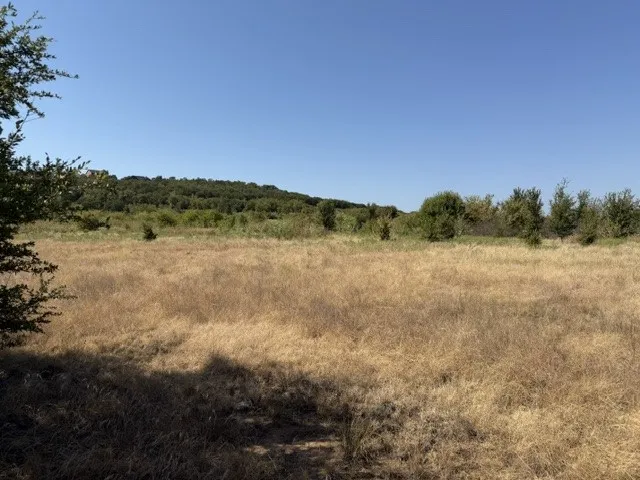 Unimproved Land For Sale in Palo Pinto County , Lot 8 Heron Court, Graford, Texas 76449, 0, 0, Garage spaces, 0 Sqft, built in 0, mls#21378338, Real Estate Agent in Graford, Homes For Sale in Palo Pinto county, Homes For Sale in Graford, Realtor in Graford Texas, Real Estate Brokerage Independent Realty Texas, Luminita Cordes Realtor