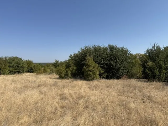 Unimproved Land For Sale in Palo Pinto County , Lot 8 Heron Court, Graford, Texas 76449, 0, 0, Garage spaces, 0 Sqft, built in 0, mls#21378338, Real Estate Agent in Graford, Homes For Sale in Palo Pinto county, Homes For Sale in Graford, Realtor in Graford Texas, Real Estate Brokerage Independent Realty Texas, Luminita Cordes Realtor